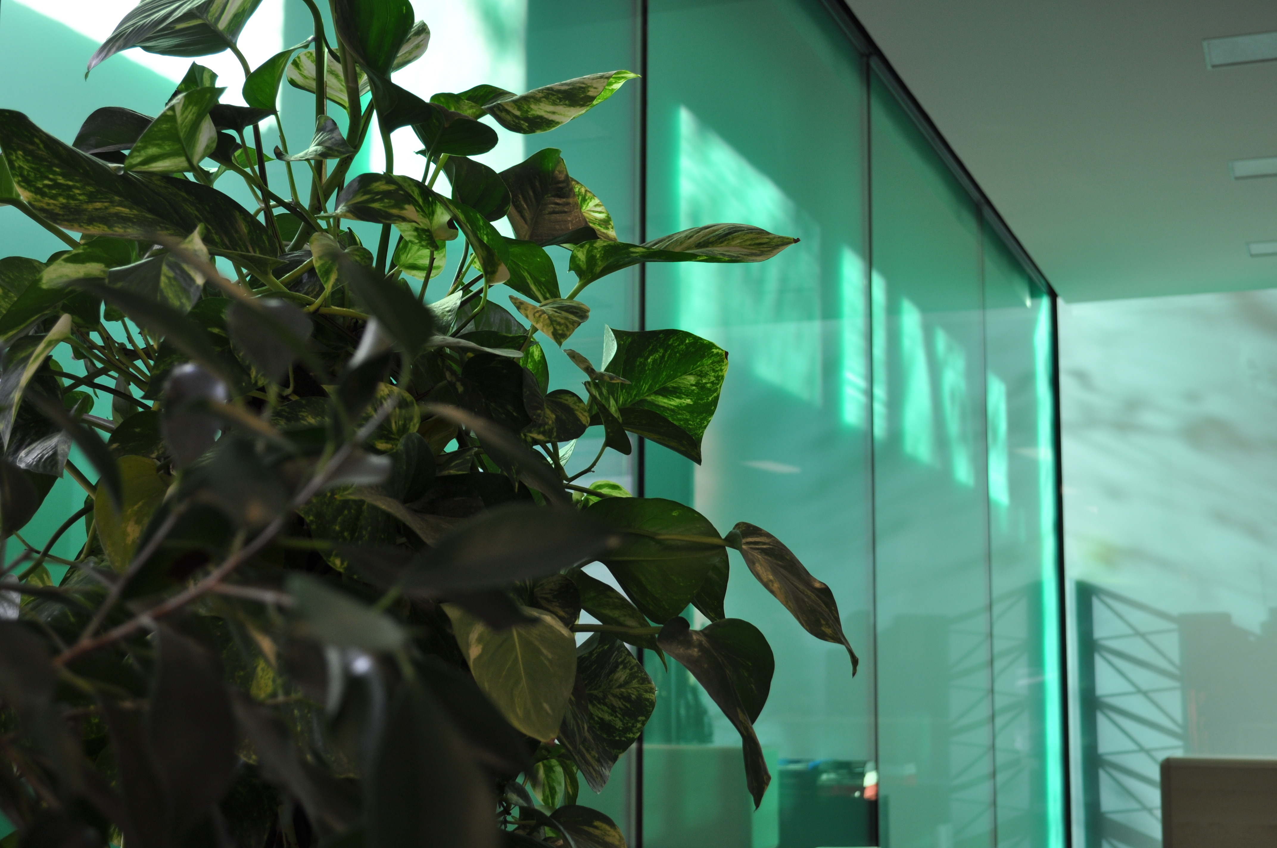 意大利 Ravenna 商业大厦室内设计案例解析-31