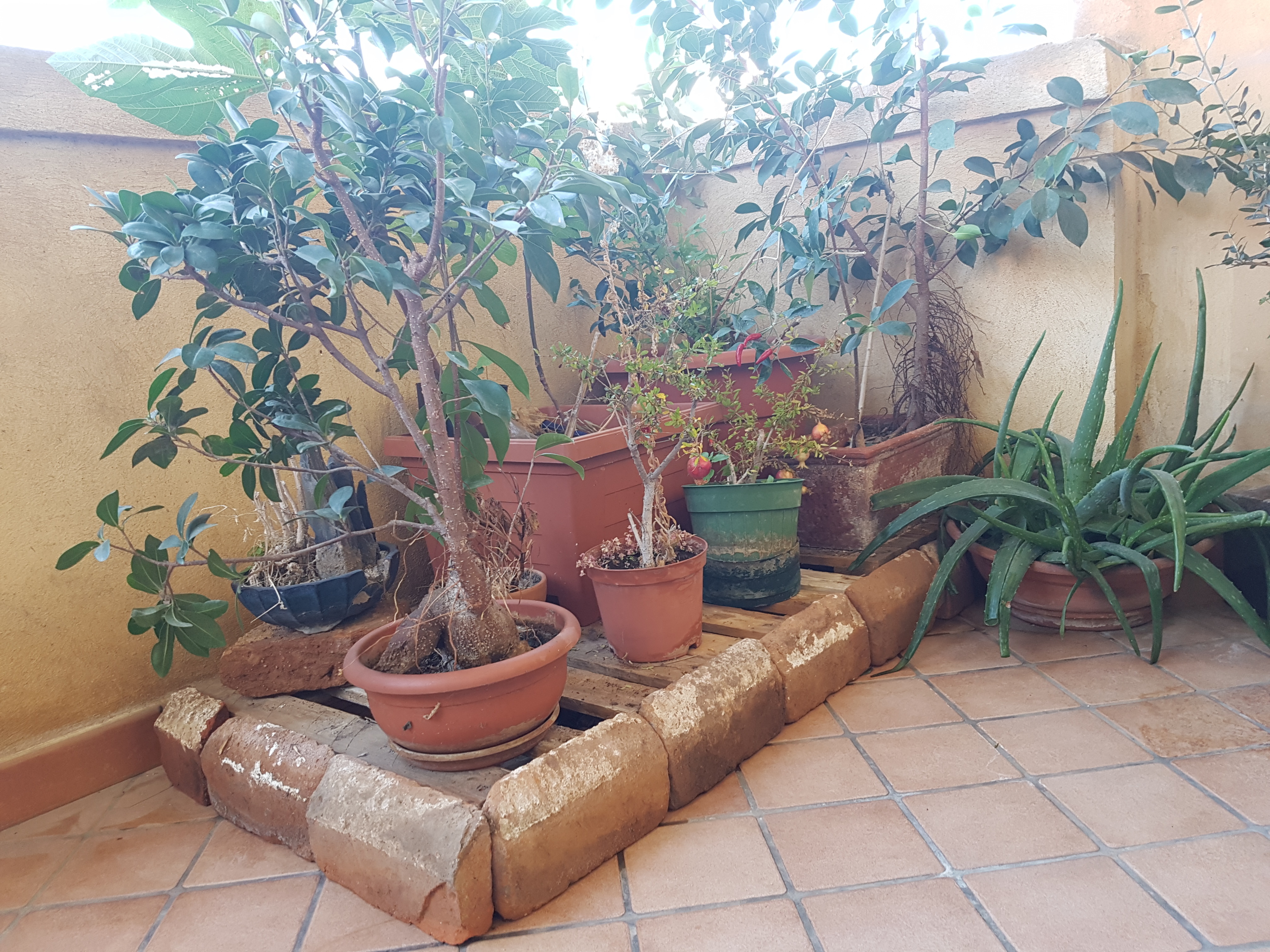 2016 年历史建筑翻新设计案例解析-24