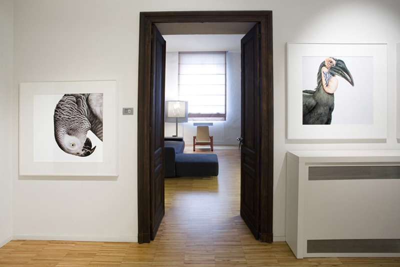 历史与创新的融合，打造 22 间精品酒店-6