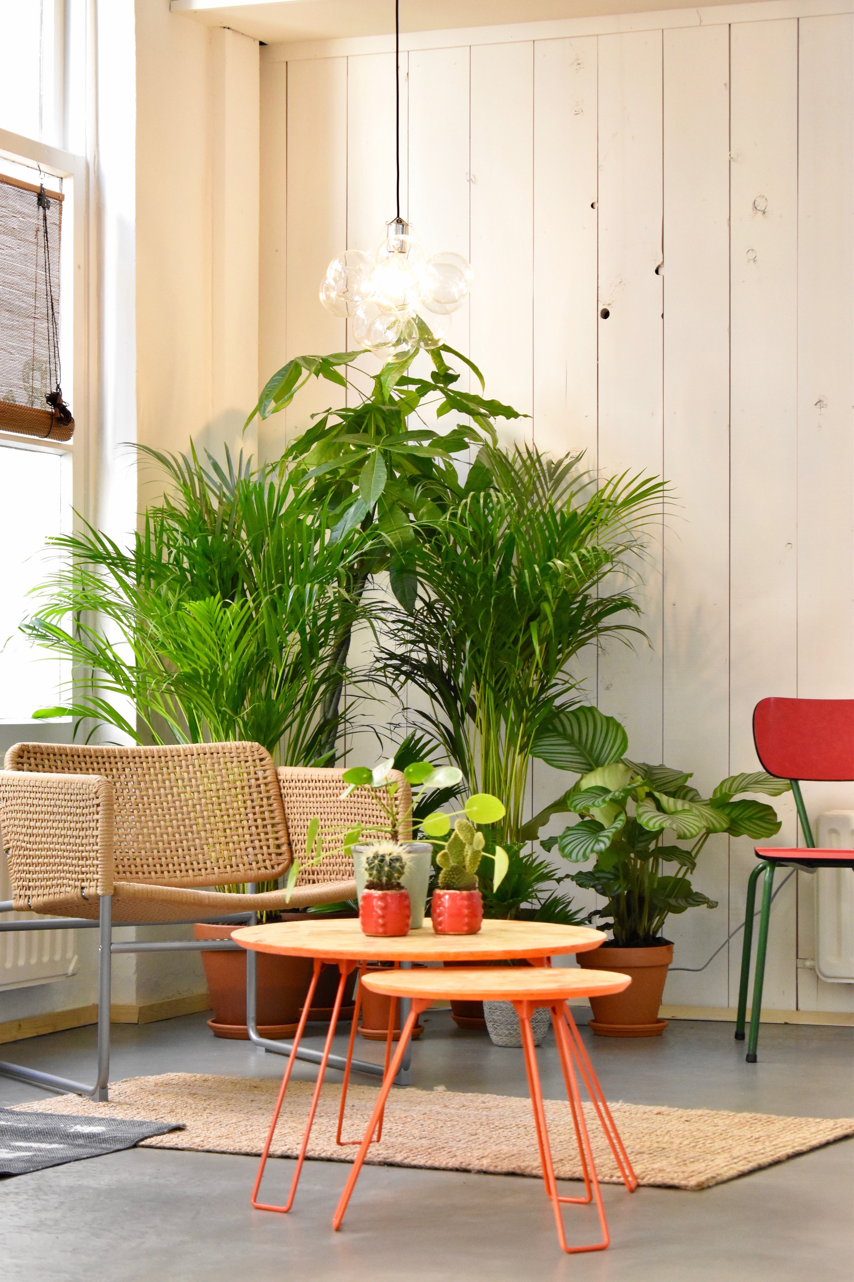 动感空间 | 荷兰 Deventer 健身工作室 Rechtuit-2