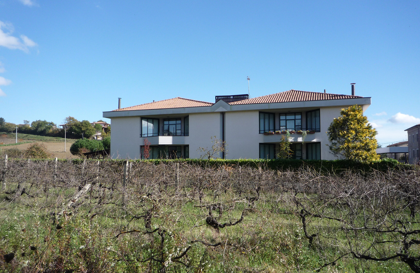 阳光与绿意共生 | 家庭住宅设计案例-0