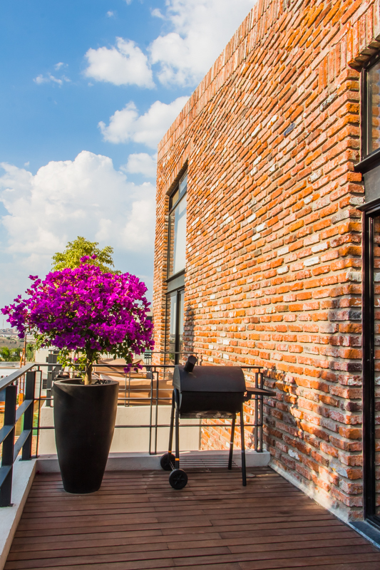 墨西哥创新住宅设计-6