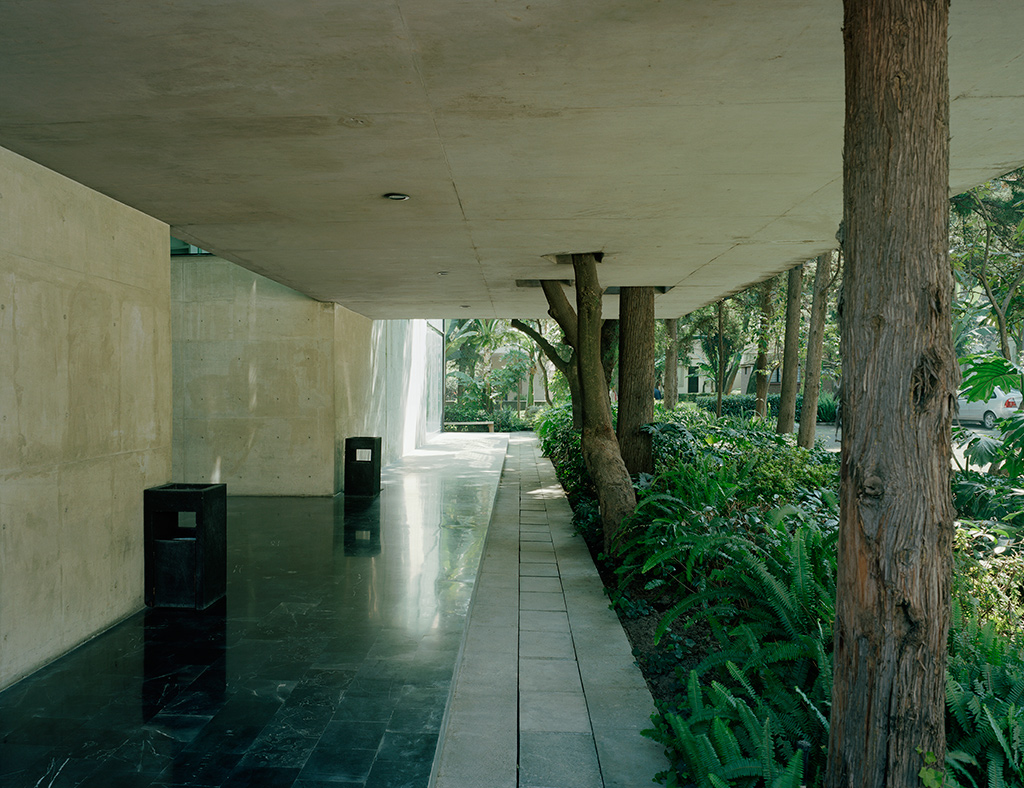 墨西哥 Pontifical 大学图书馆·绿色阅读空间-5