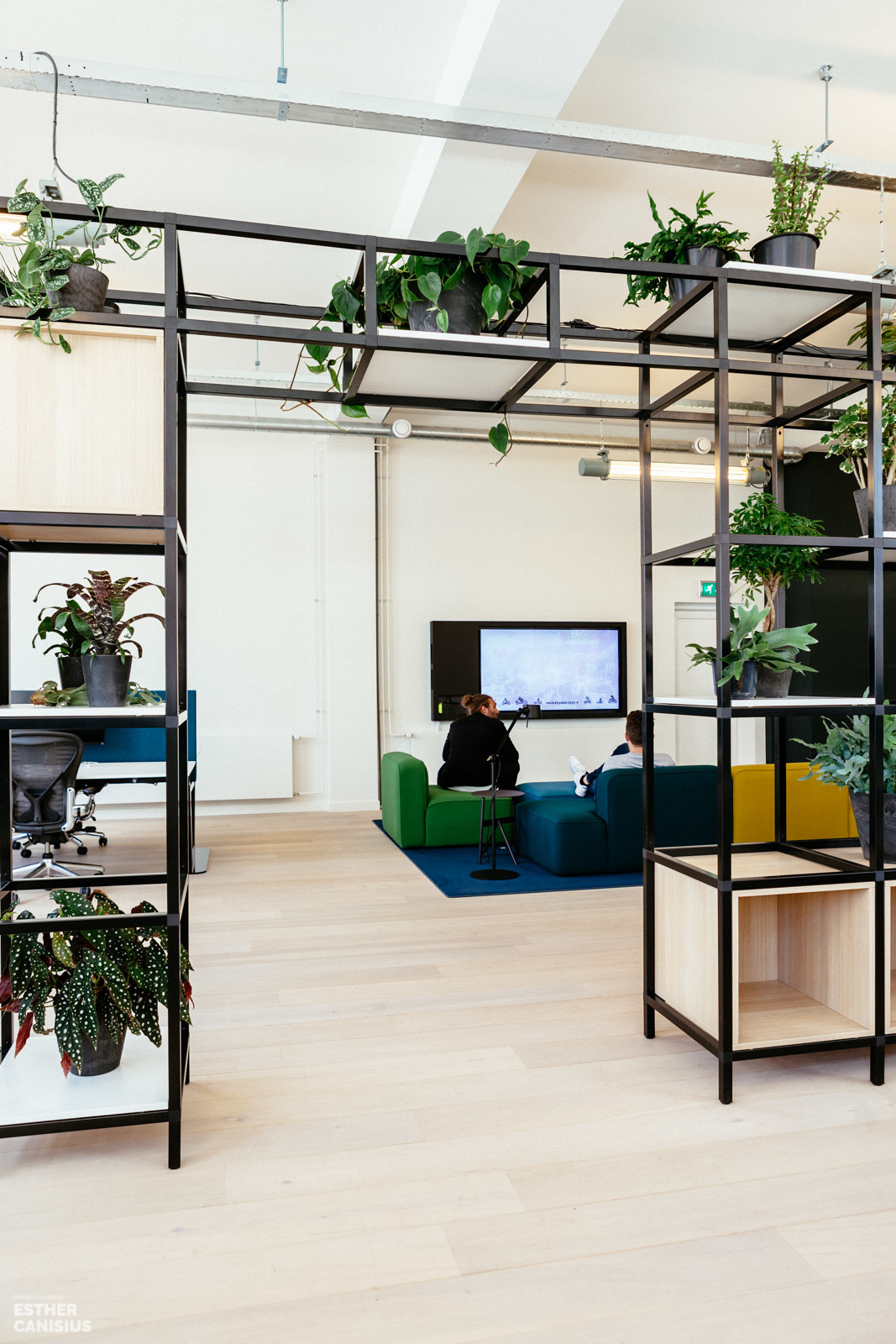 荷兰 Imkey 办公室 | 古典建筑中的现代绿意空间-5