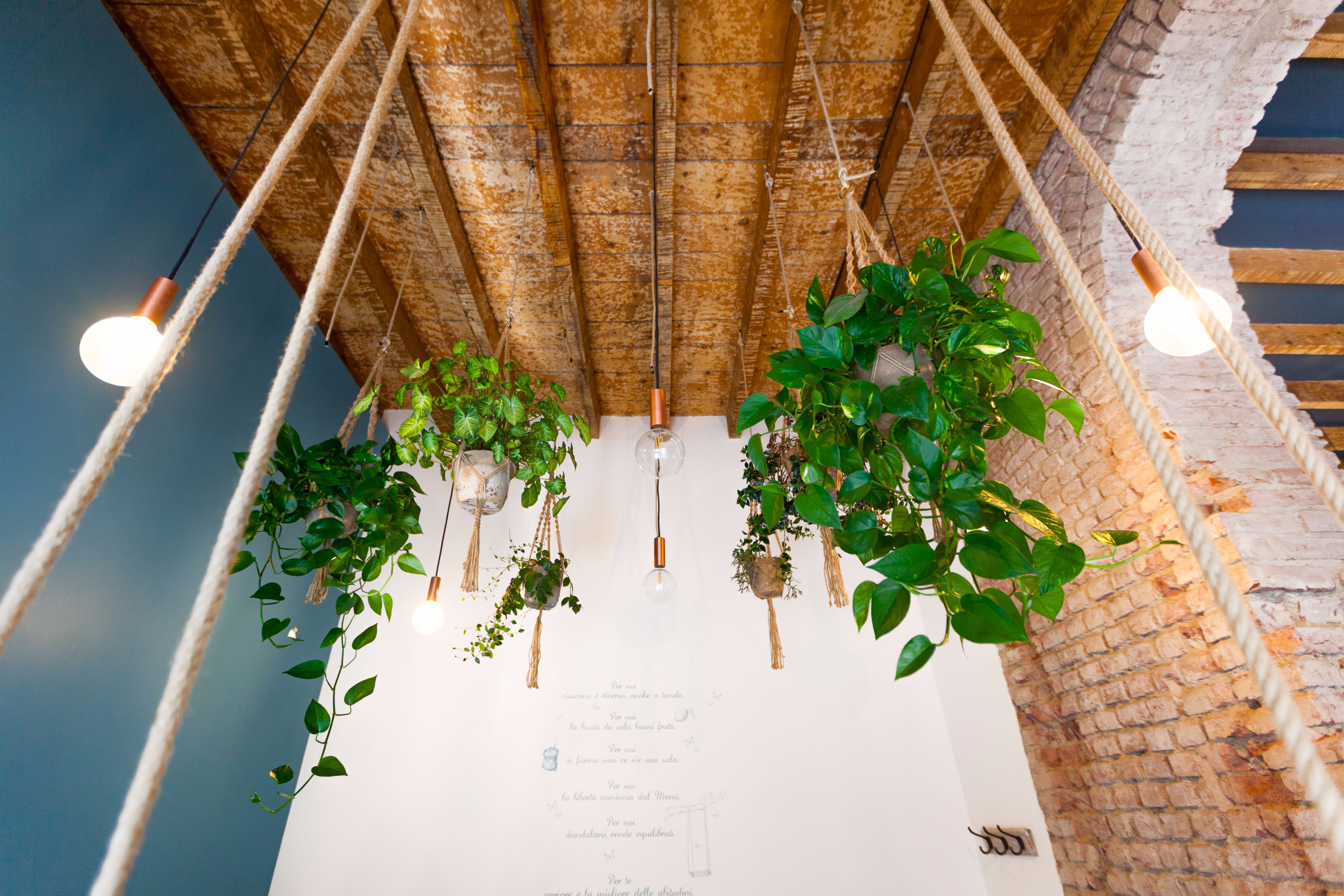 复古韵味的新生 | 2016 年完成的 PanPerMe 项目-25