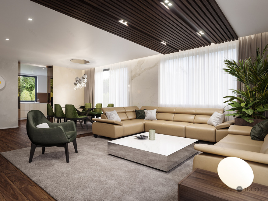 2017 年未实现的巴č家庭住宅设计-1