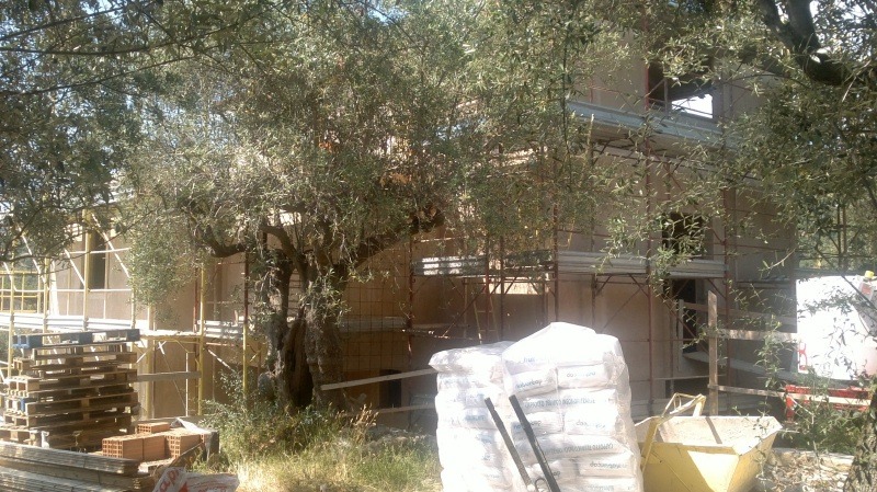 NATURCAP 隔热降噪别墅案例-14