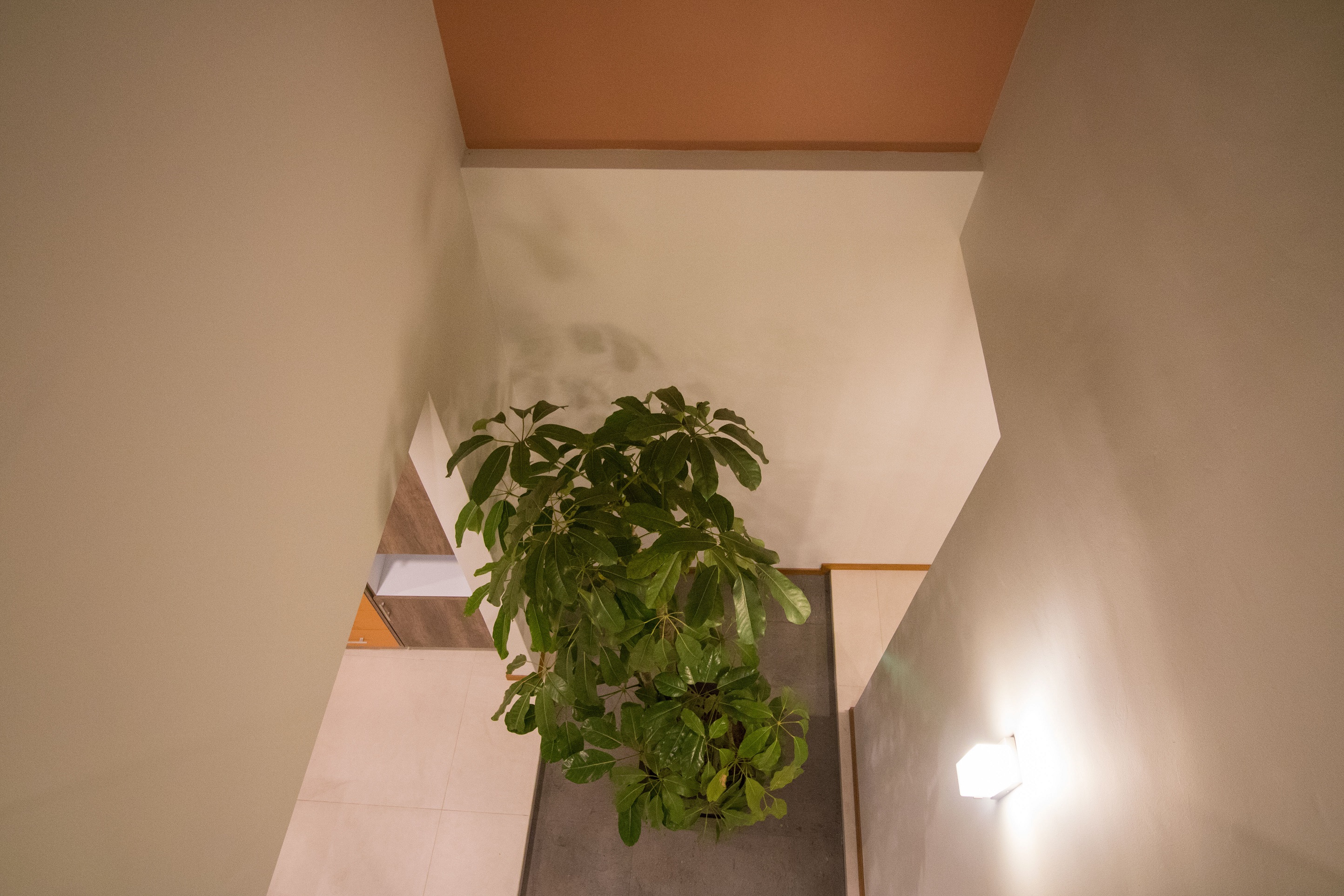 墨西哥鹰之巢-14