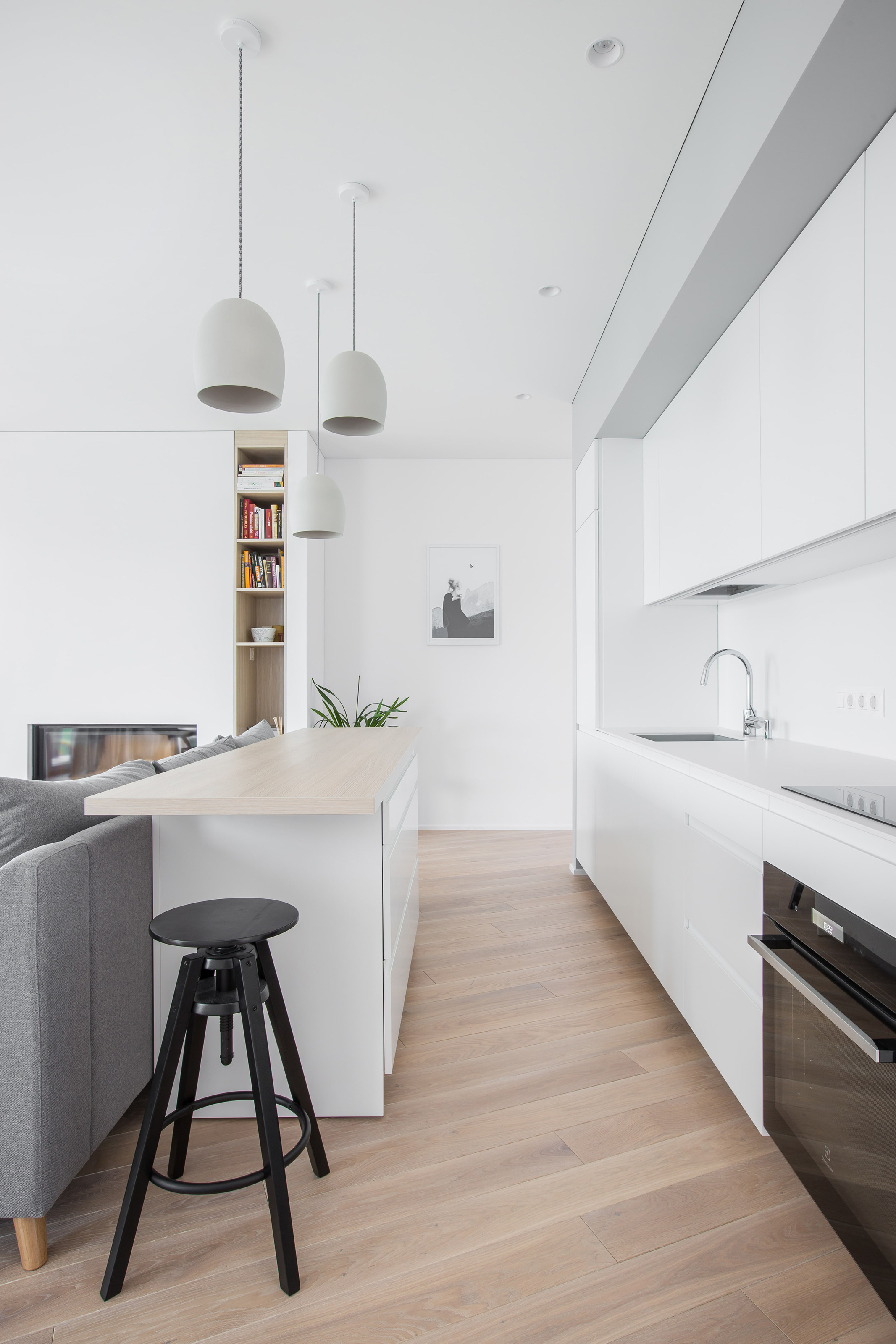 北欧之光·维尔纽斯“狼之屋”-1