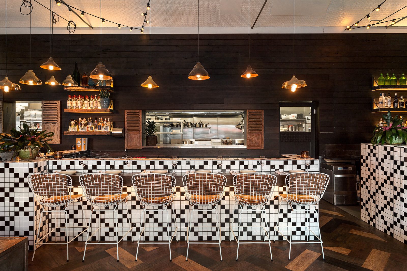 卡罗莱纳夫人-5