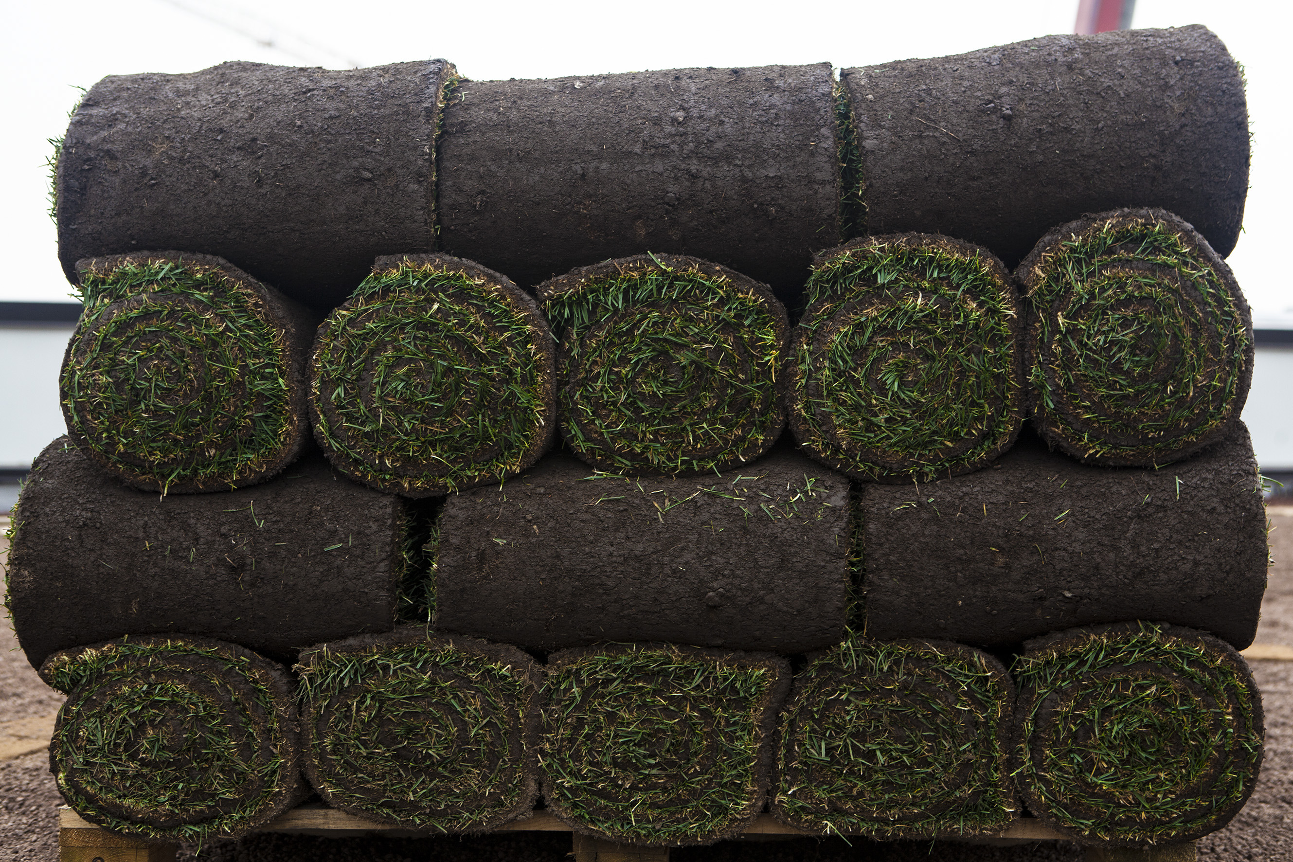 米兰屋顶稻田 · 创新城市农业设计-4