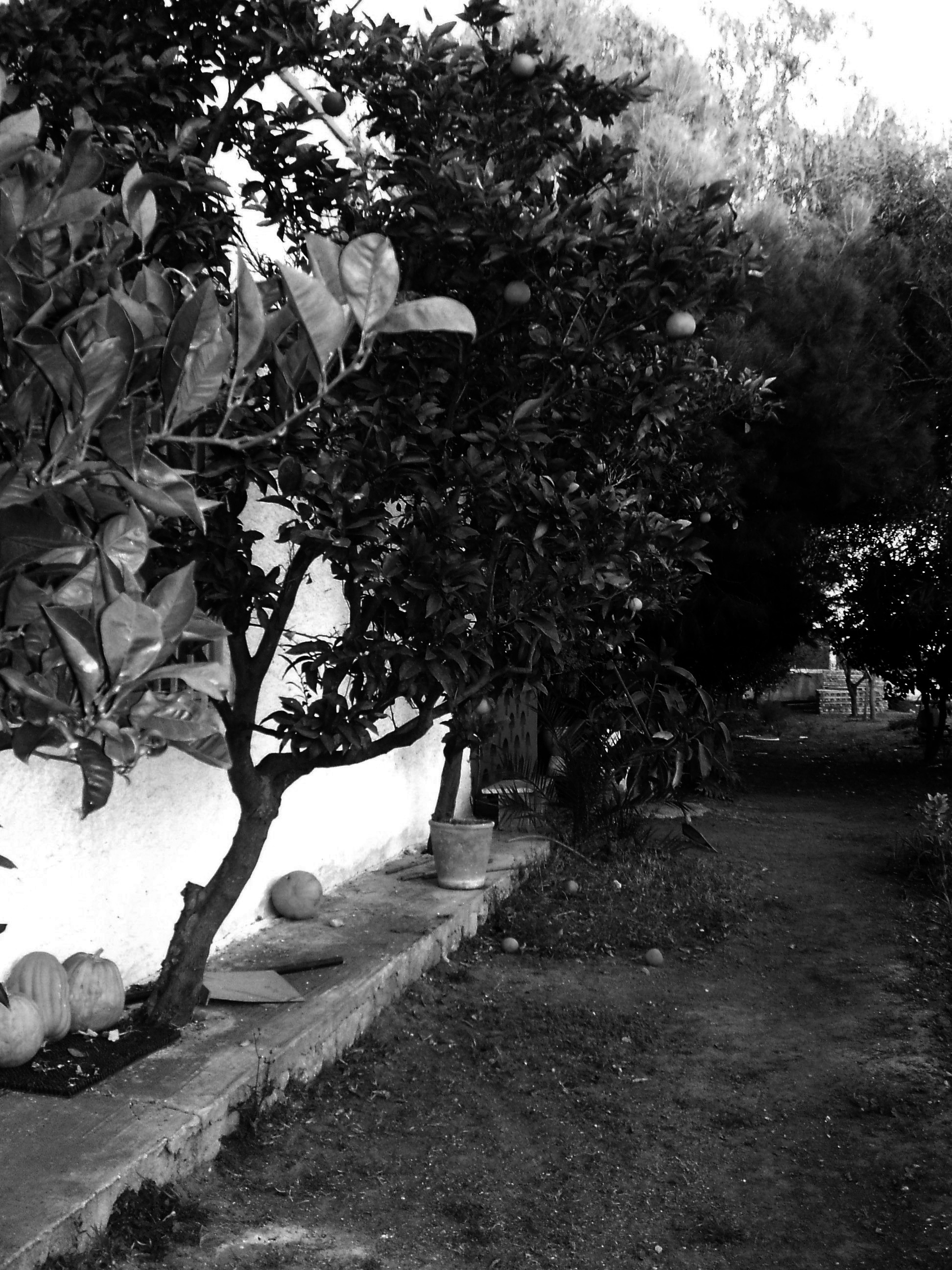 历史与当代的交融 | 卡赞诺奇家庭住宅-19