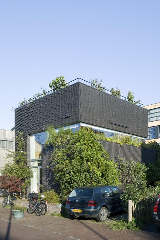 绿意盎然的家 | 垂直花园的室内设计-1