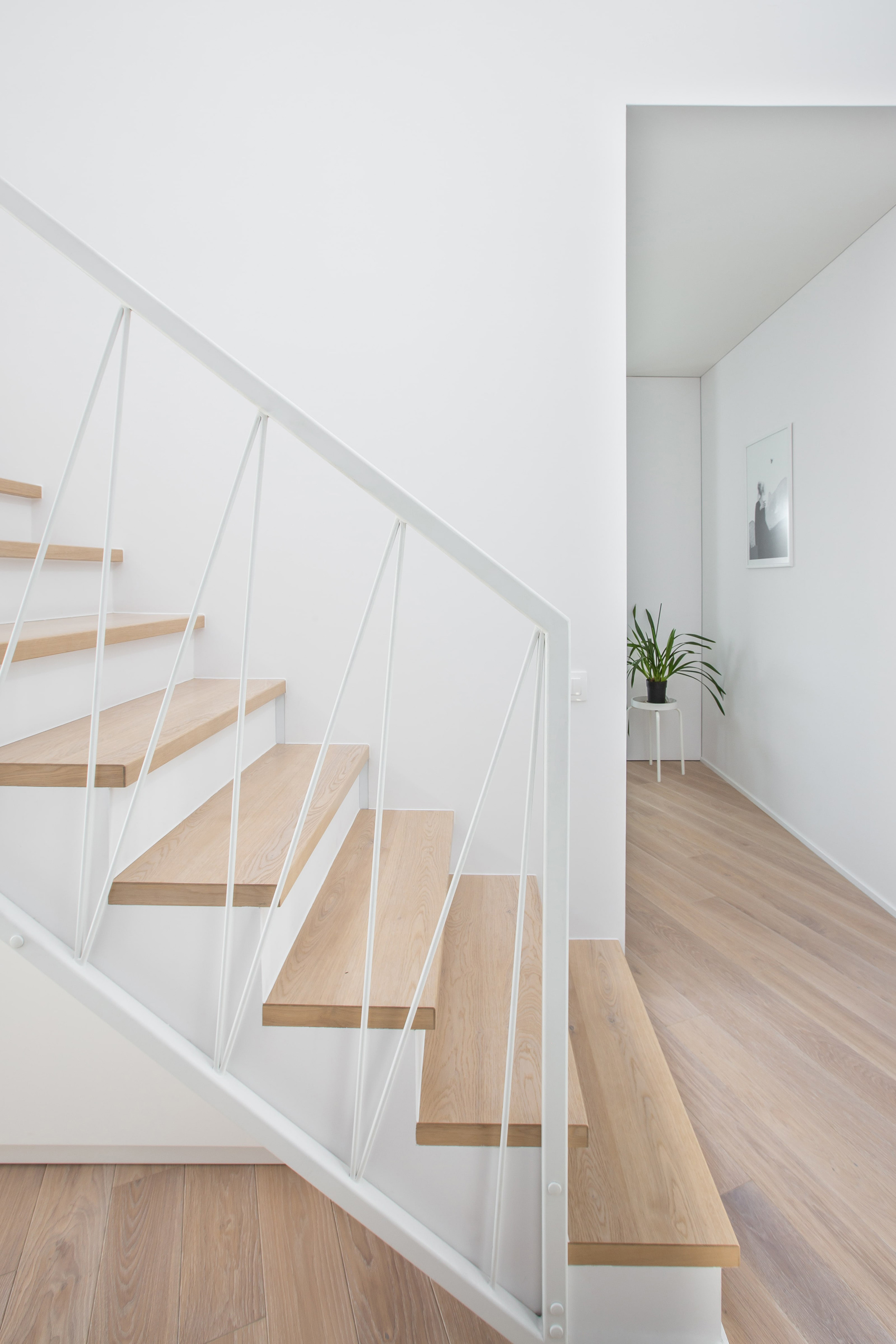 北欧之光·维尔纽斯“狼之屋”-11