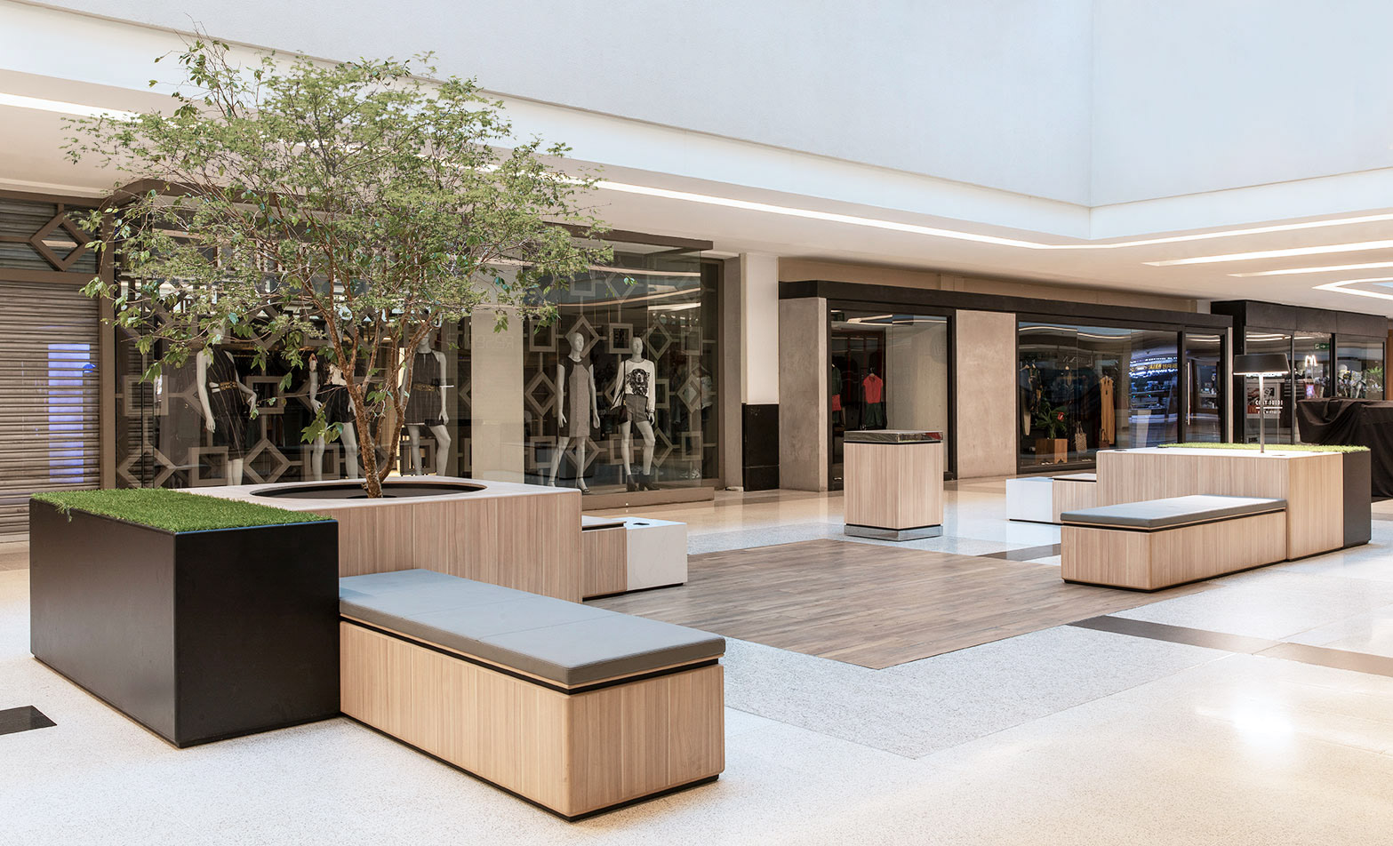 贾德尔·阿尔梅达,朱莉安娜·里奥布兰科,安德烈·德托尼,拉斐尔·阿达米,亚历·安德烈·马亚达纳,卡罗琳娜·梅里齐,让·卡洛斯-5