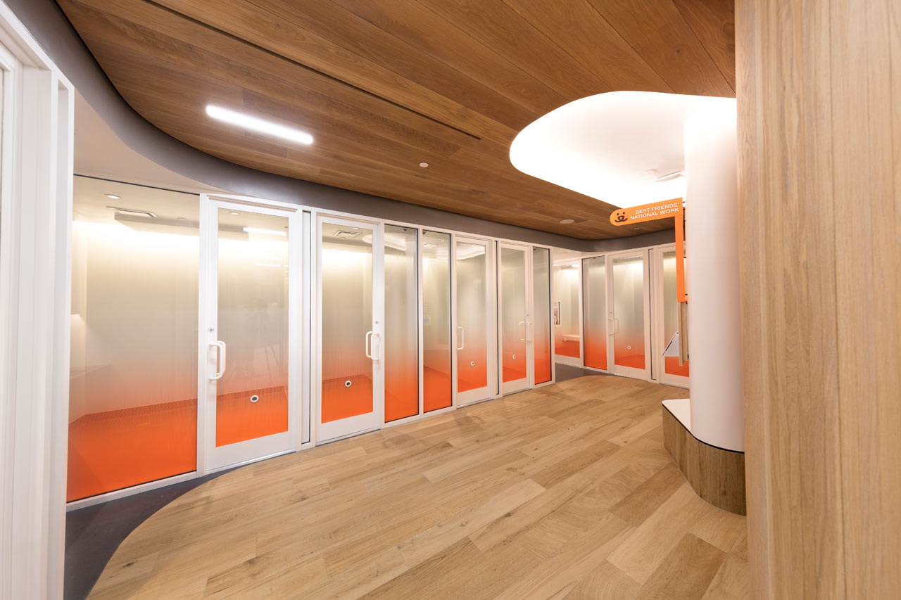 爱心港湾 | 最佳朋友动物协会新收养中心-19