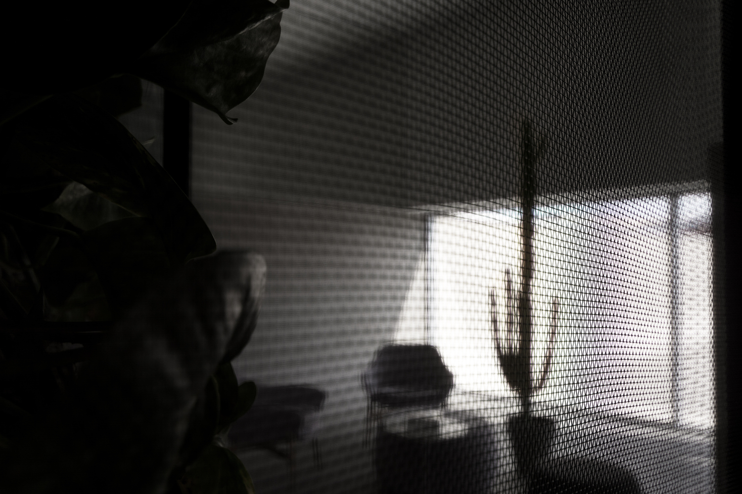 创新数字网络 VoipVoice 总部设计-36