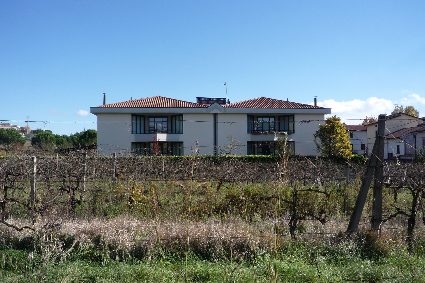 阳光与绿意共生 | 家庭住宅设计案例-1