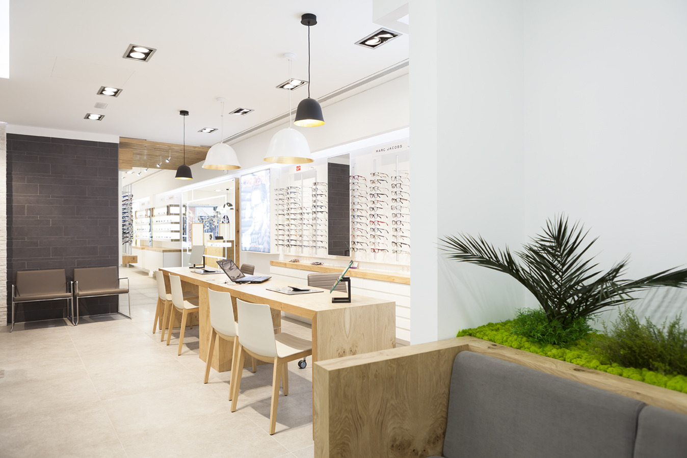 绿色苔藓装点光学商店-5