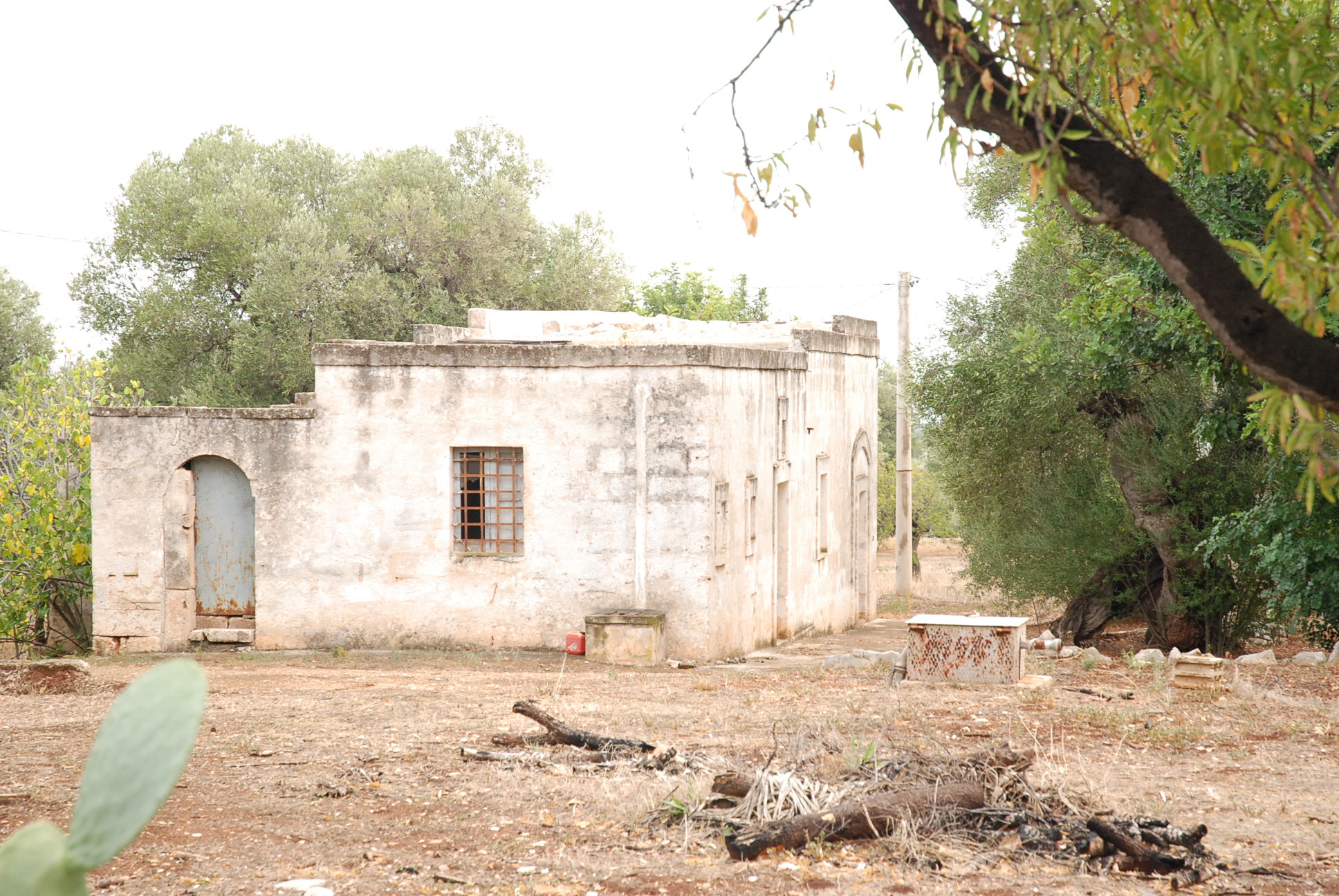 2015 年完成的单家庭住宅复兴之作-3