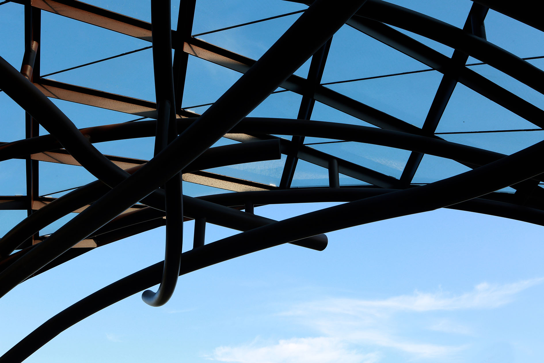 2017 年完成的红酒酒庄 CANTINA PARUSSO 室内设计案例-4