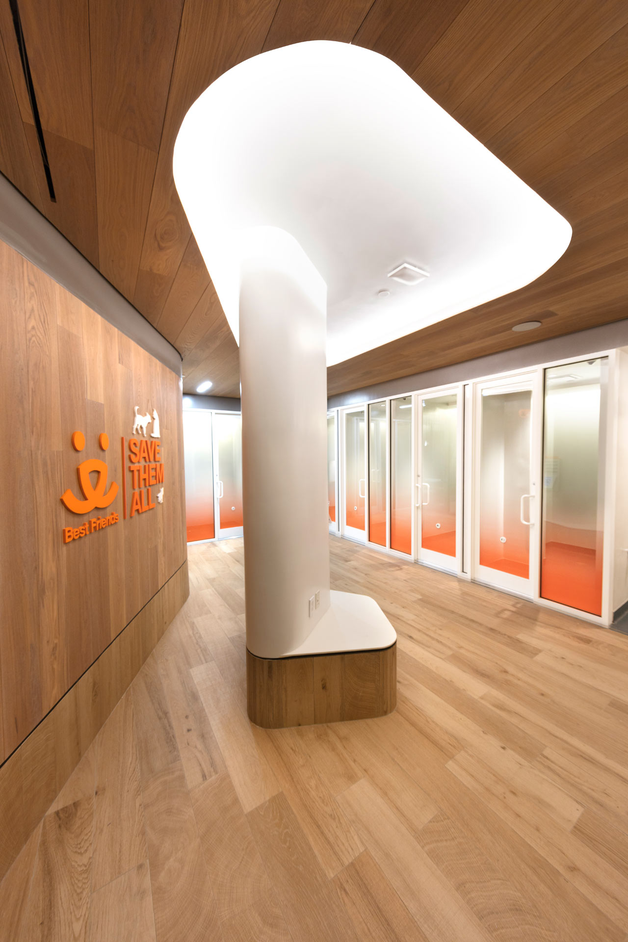 爱心港湾 | 最佳朋友动物协会新收养中心-23