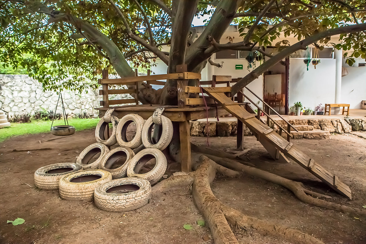 海洋之校 | Waldorf Initiative 学校设计-25