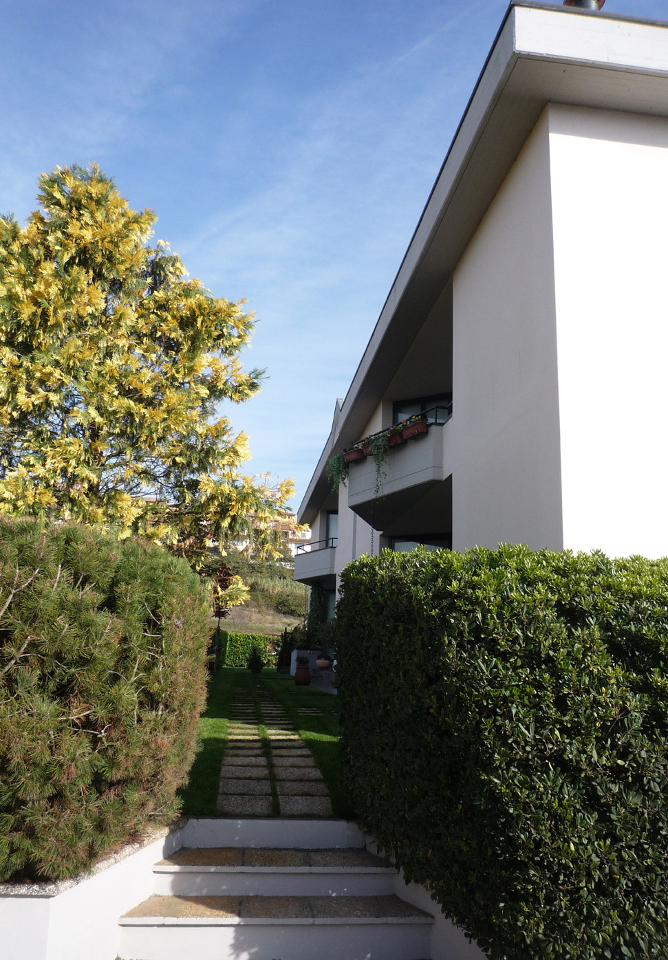 阳光与绿意共生 | 家庭住宅设计案例-17