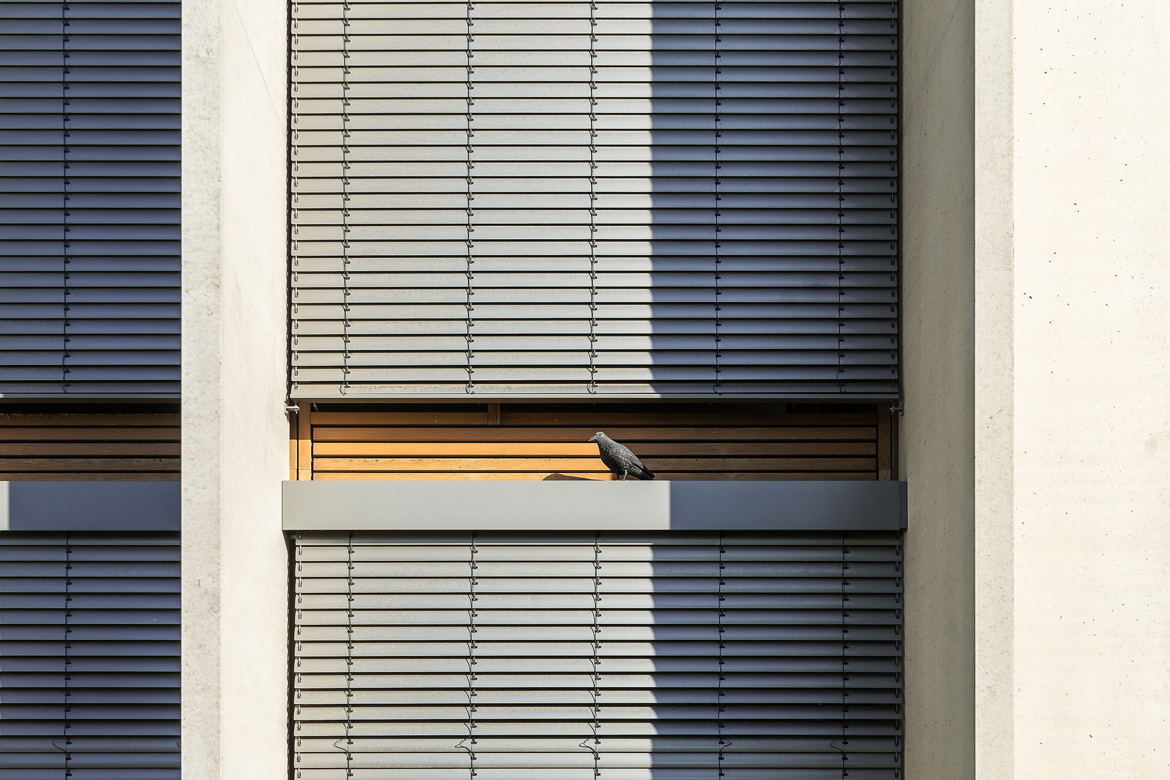 德国奥格斯堡 Lindner 办公楼-5