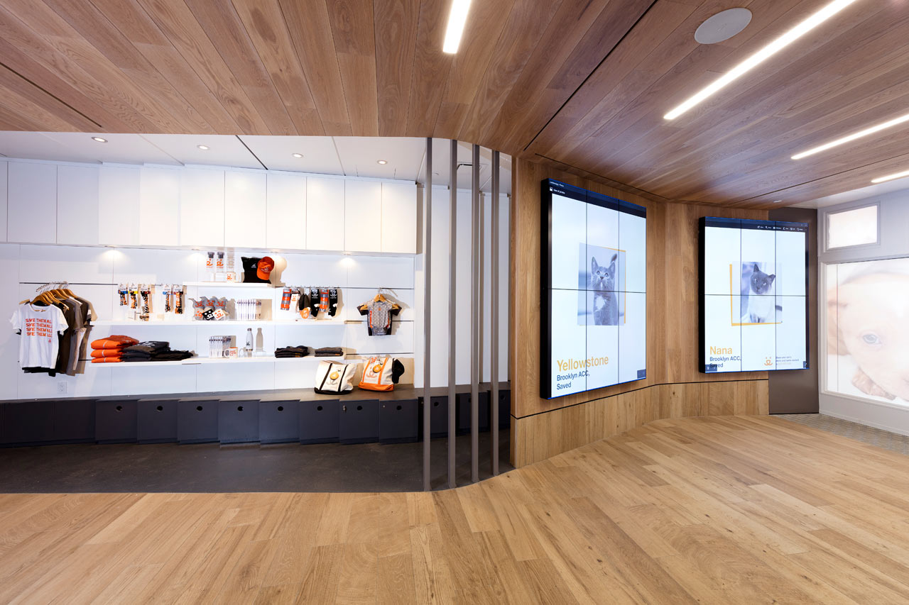 爱心港湾 | 最佳朋友动物协会新收养中心-10