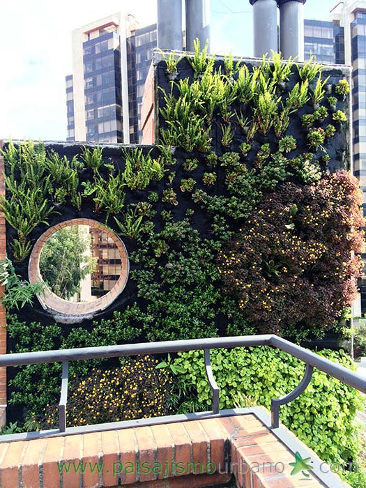 哥伦比亚绿色公寓墙 · 13 种植物的垂直花园-13
