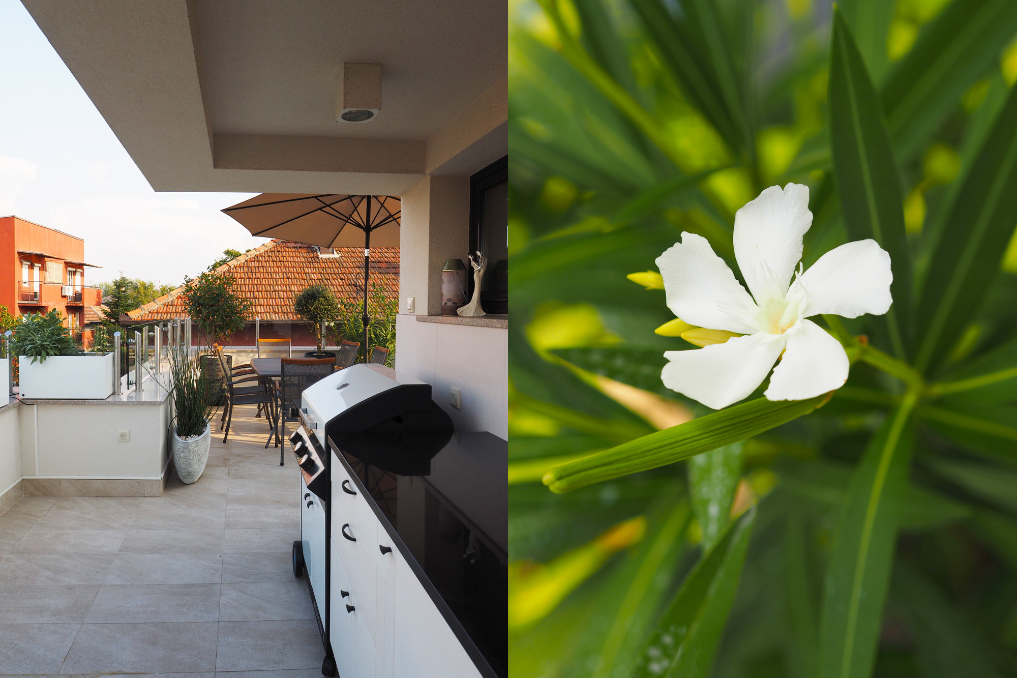 为所有感官而创造，私人住宅花园和屋顶露台-35