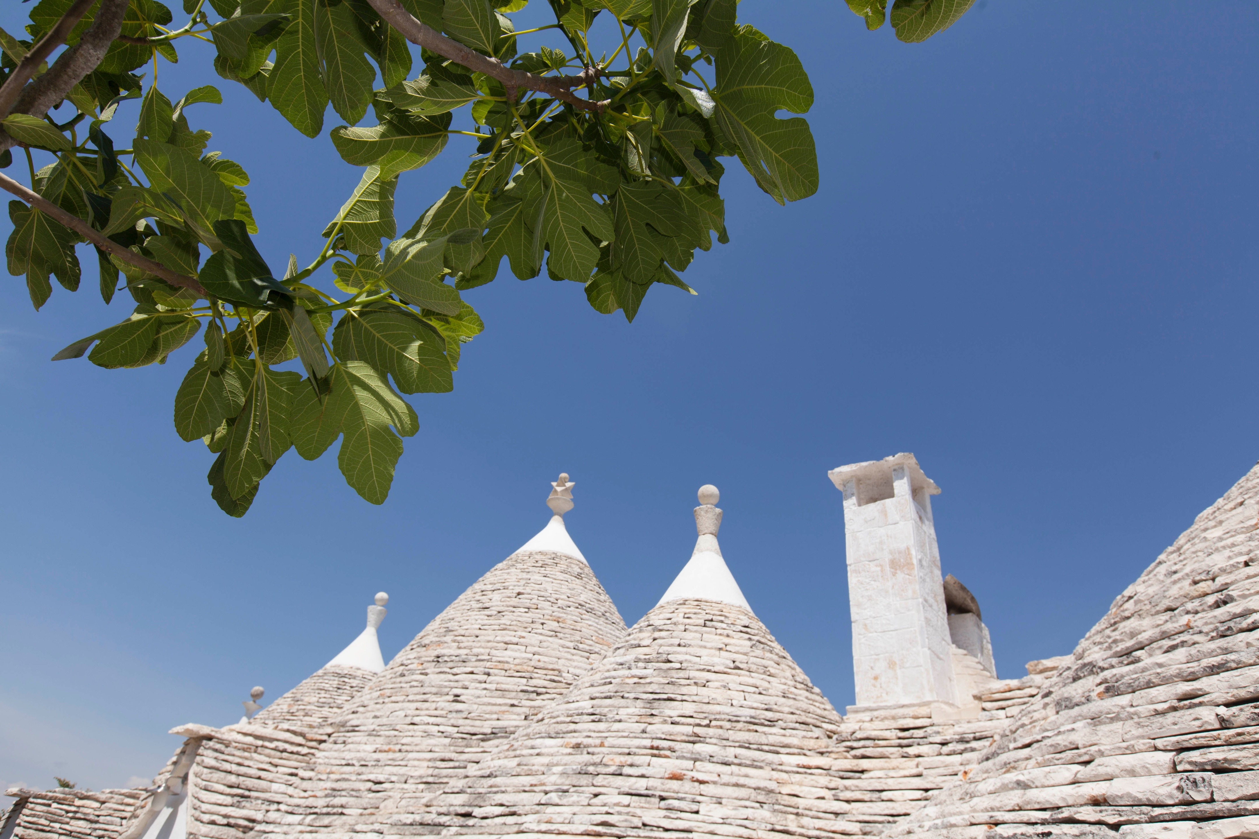 700 年历史的土坯房修复-10