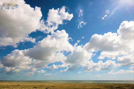 英国海滨别墅“Ness House”的室内设计亮点与趋势-5