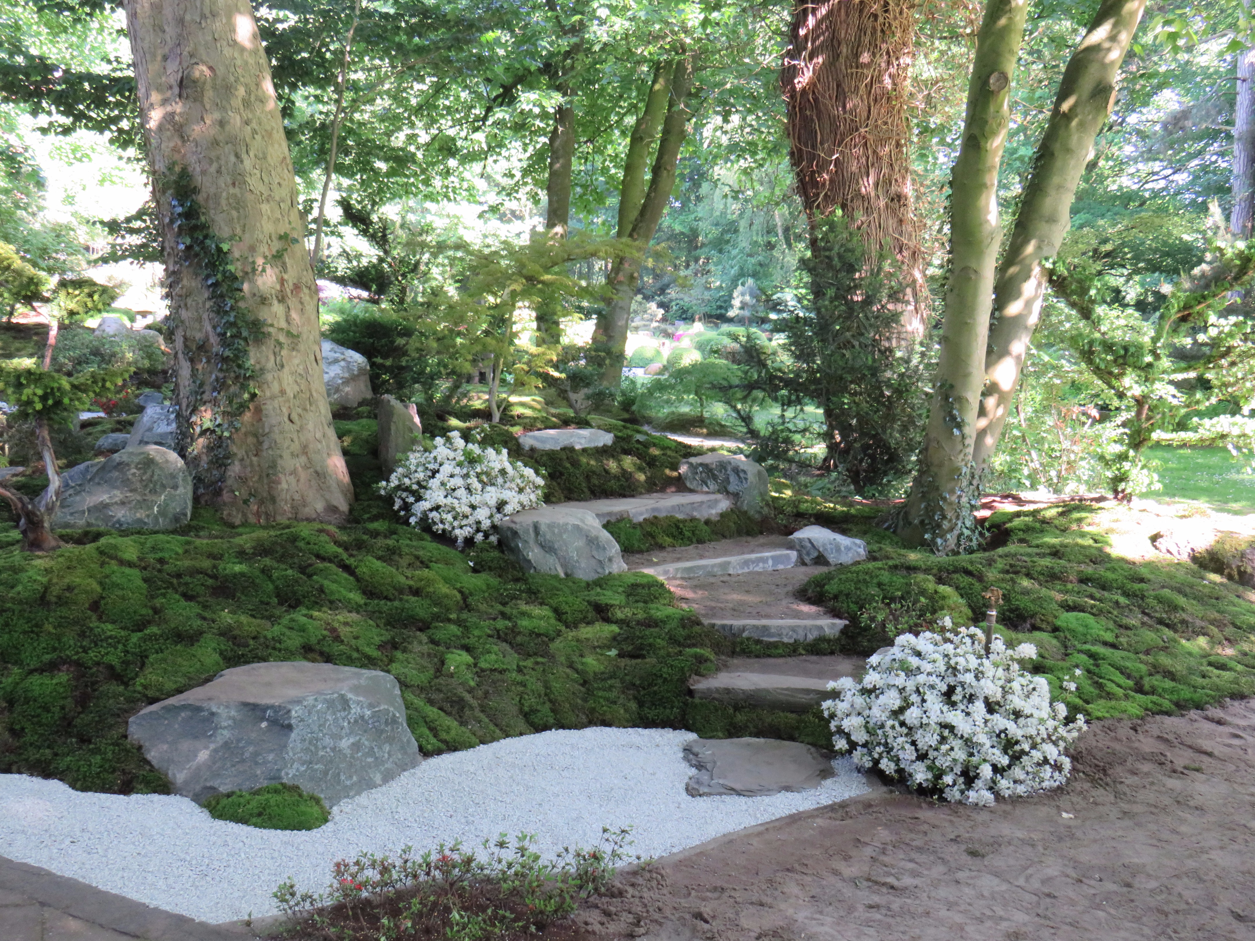 2017 日本花园研讨会 | 自然石座椅赏茶屋美景-1