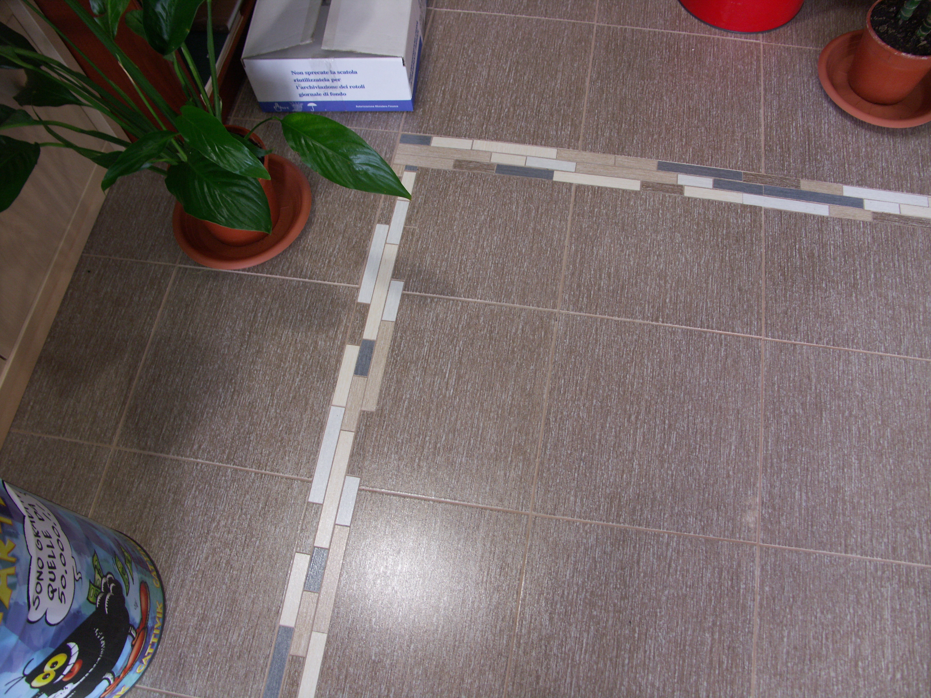 2008 年完成的 Minnella 书店室内设计-5