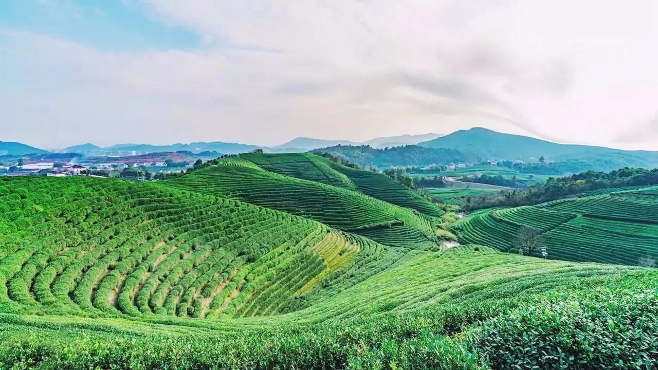 听蓝茶生活空间-1