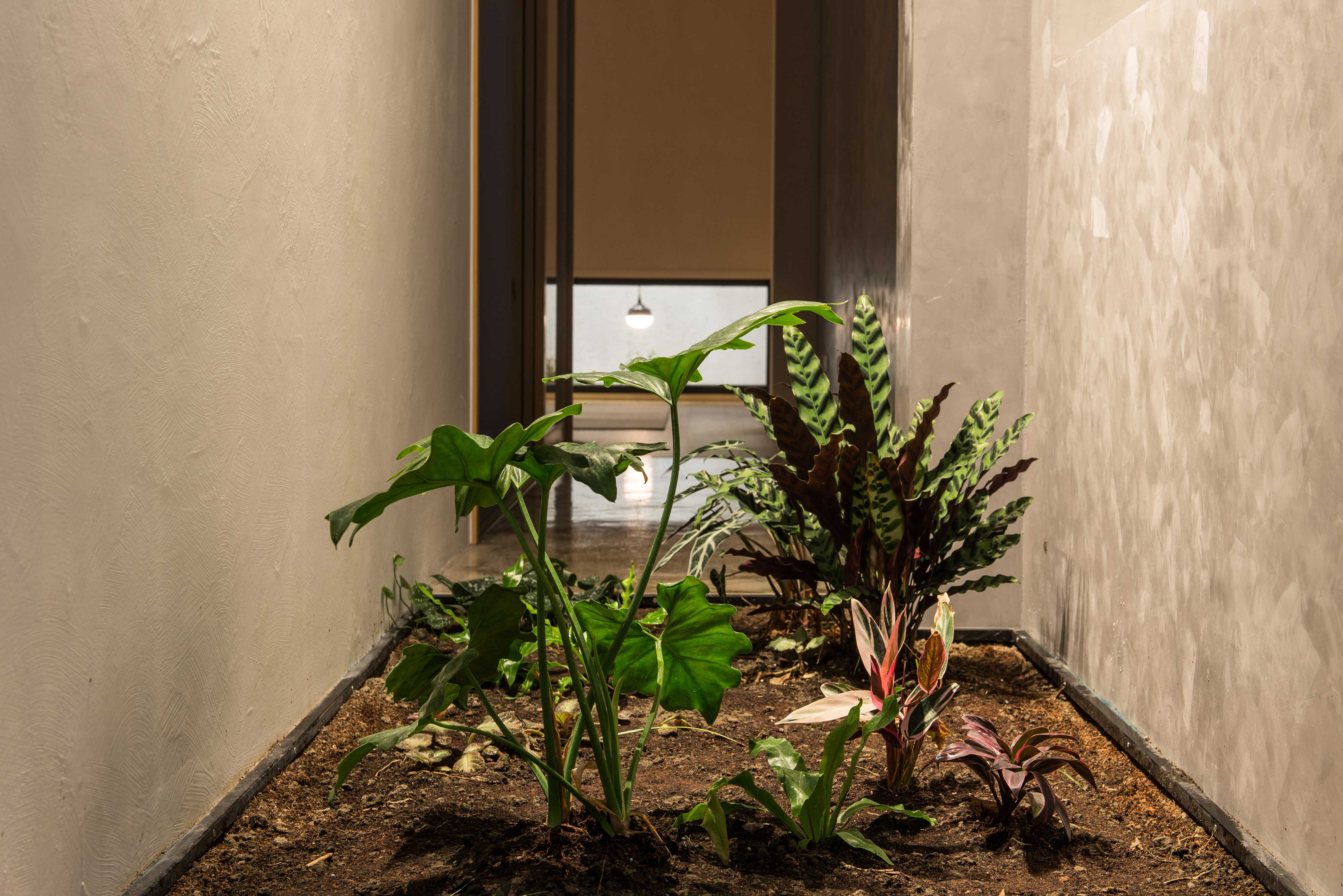 二楼柚木家居展示空间-19