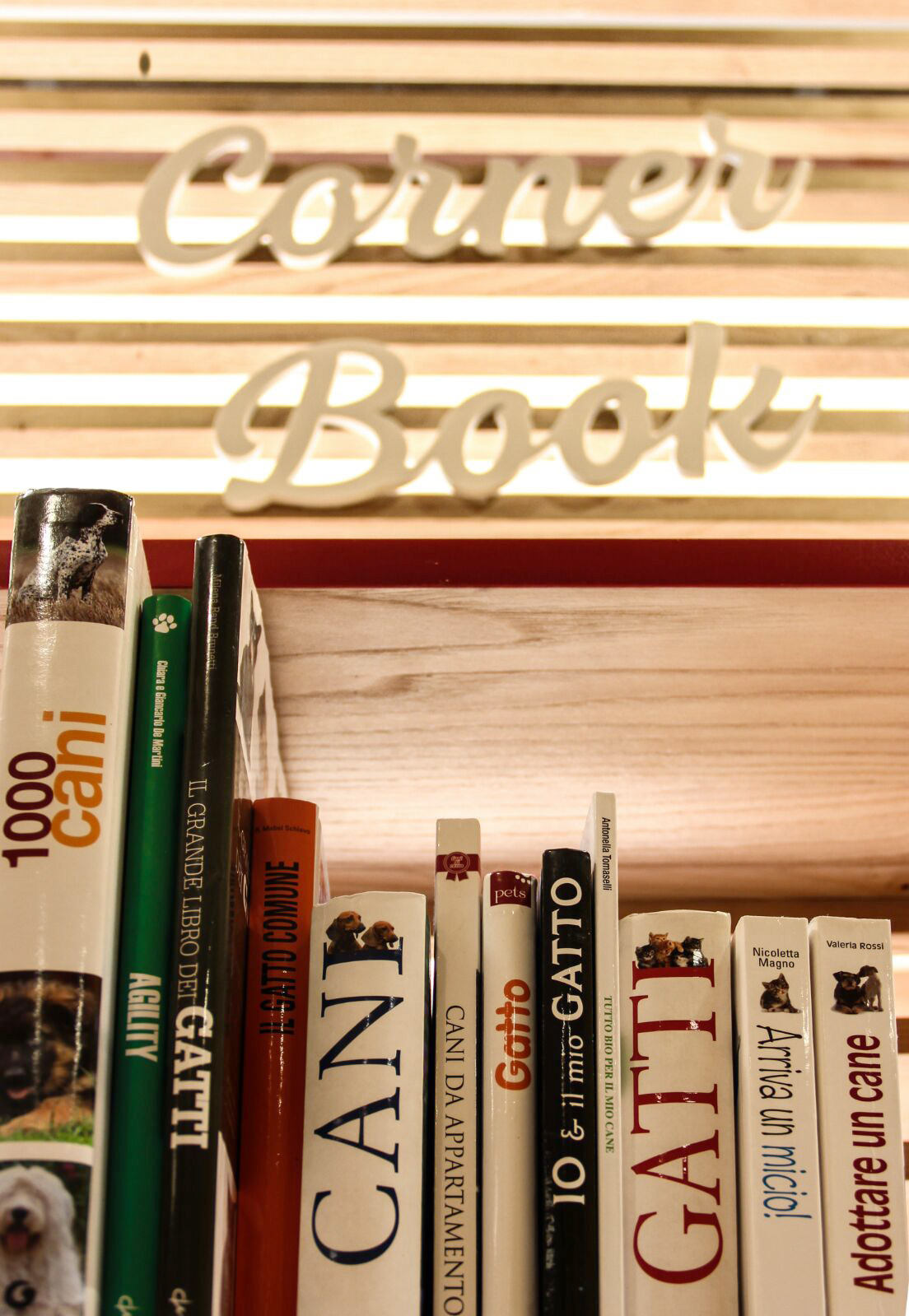 Joe Zampetti 2018 年完美收官之作-1