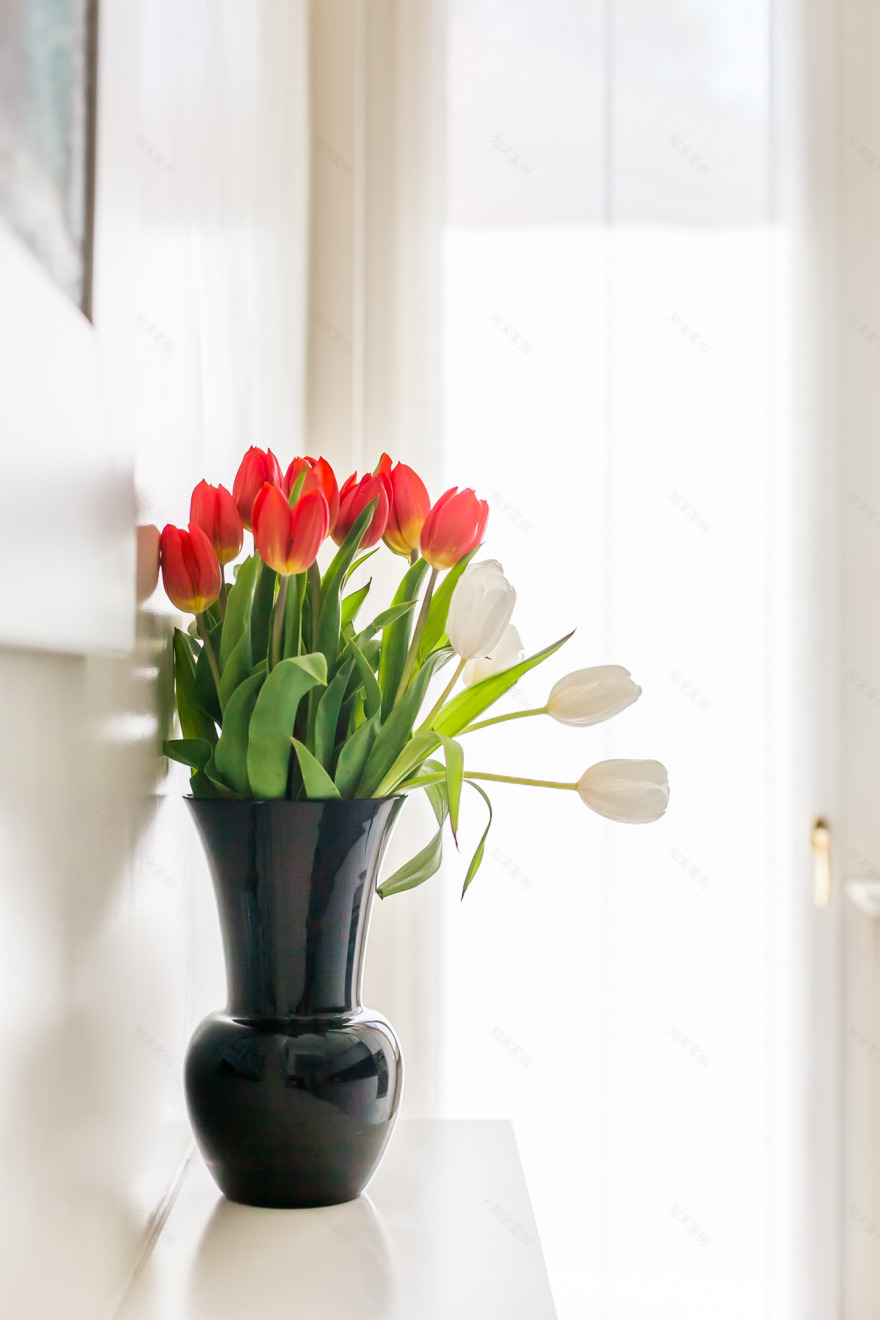 罗马市中心优雅公寓,展现独特设计魅力-12