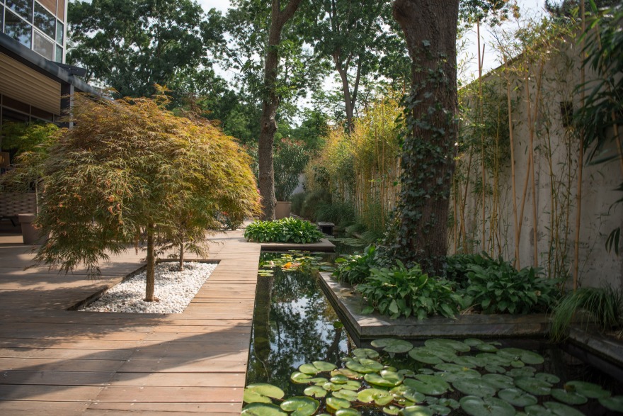 乌克兰 Azuma 餐厅露台 | 城市绿洲的餐饮空间-8