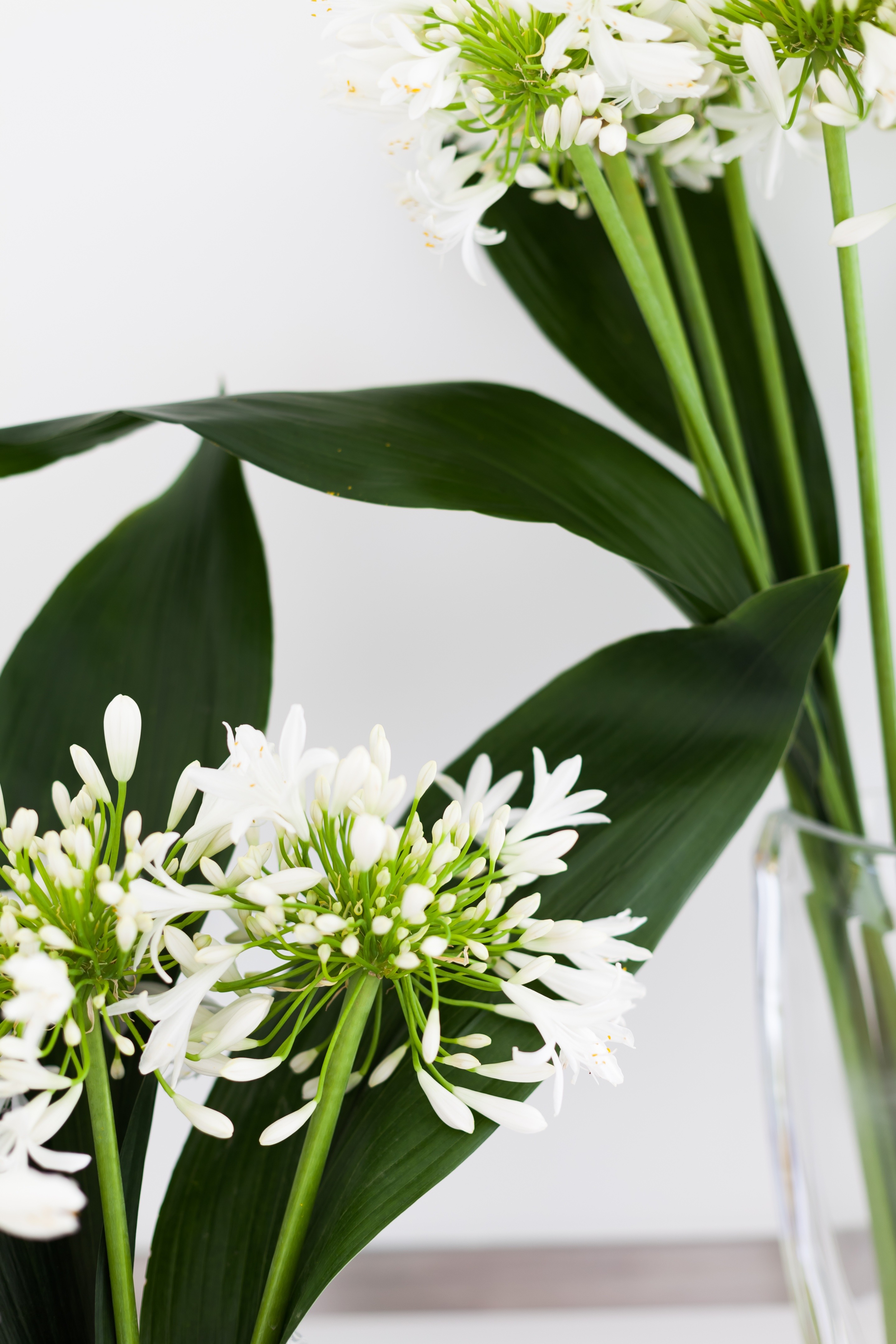 罗马全景厨房-2