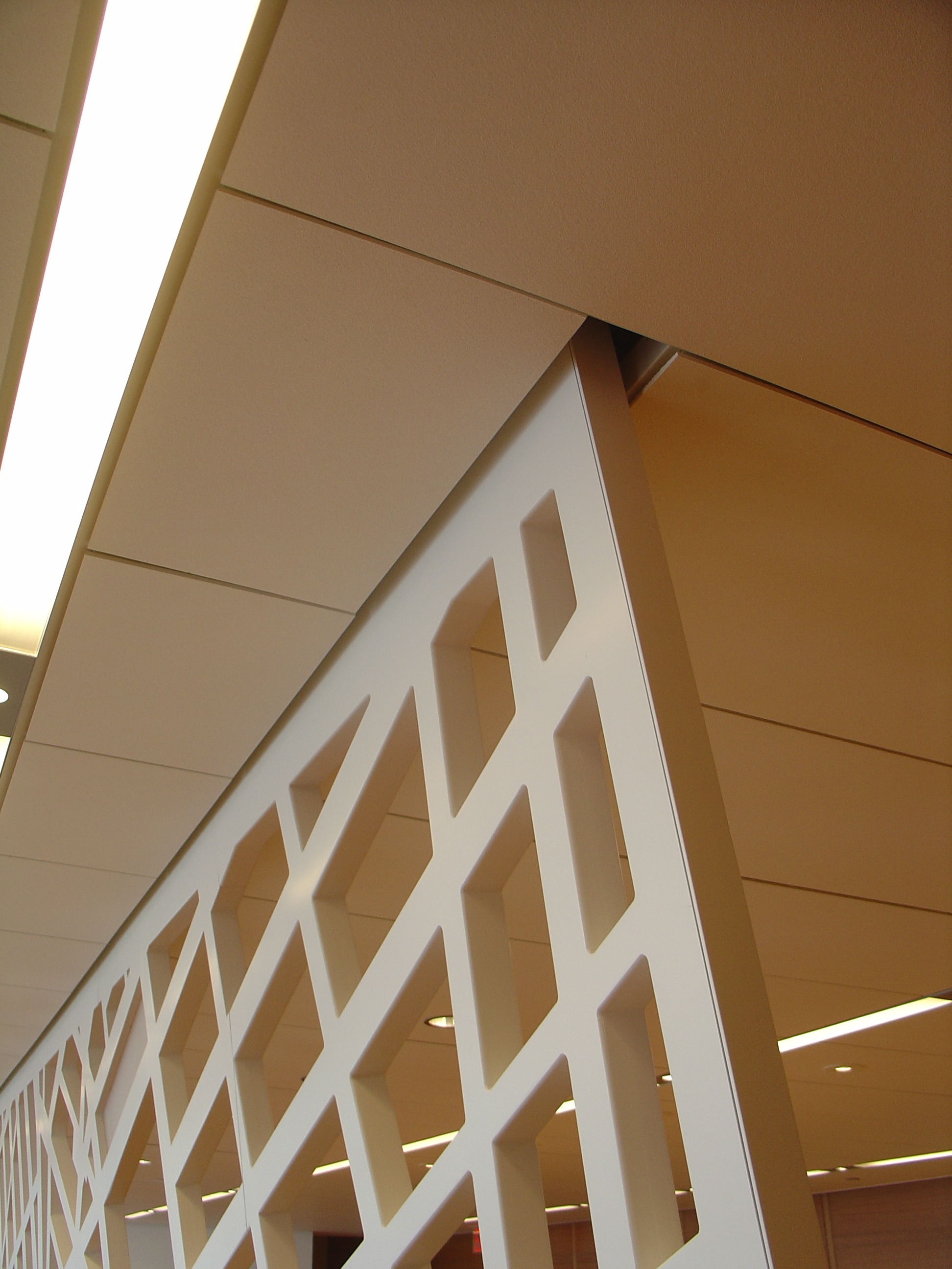 纽约科学院四十英尺长墙设计-3