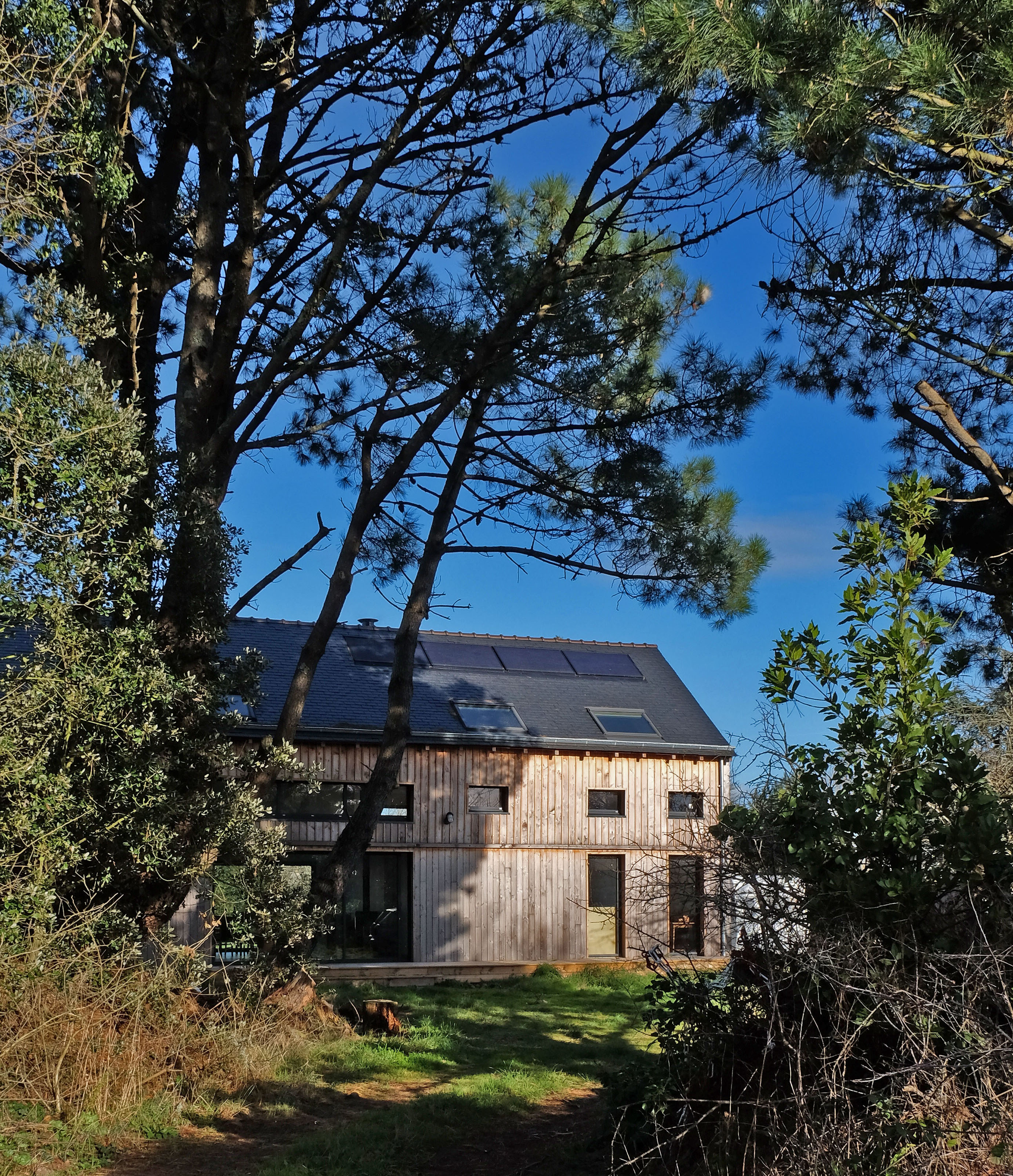 莫比汉海湾木质长屋-0