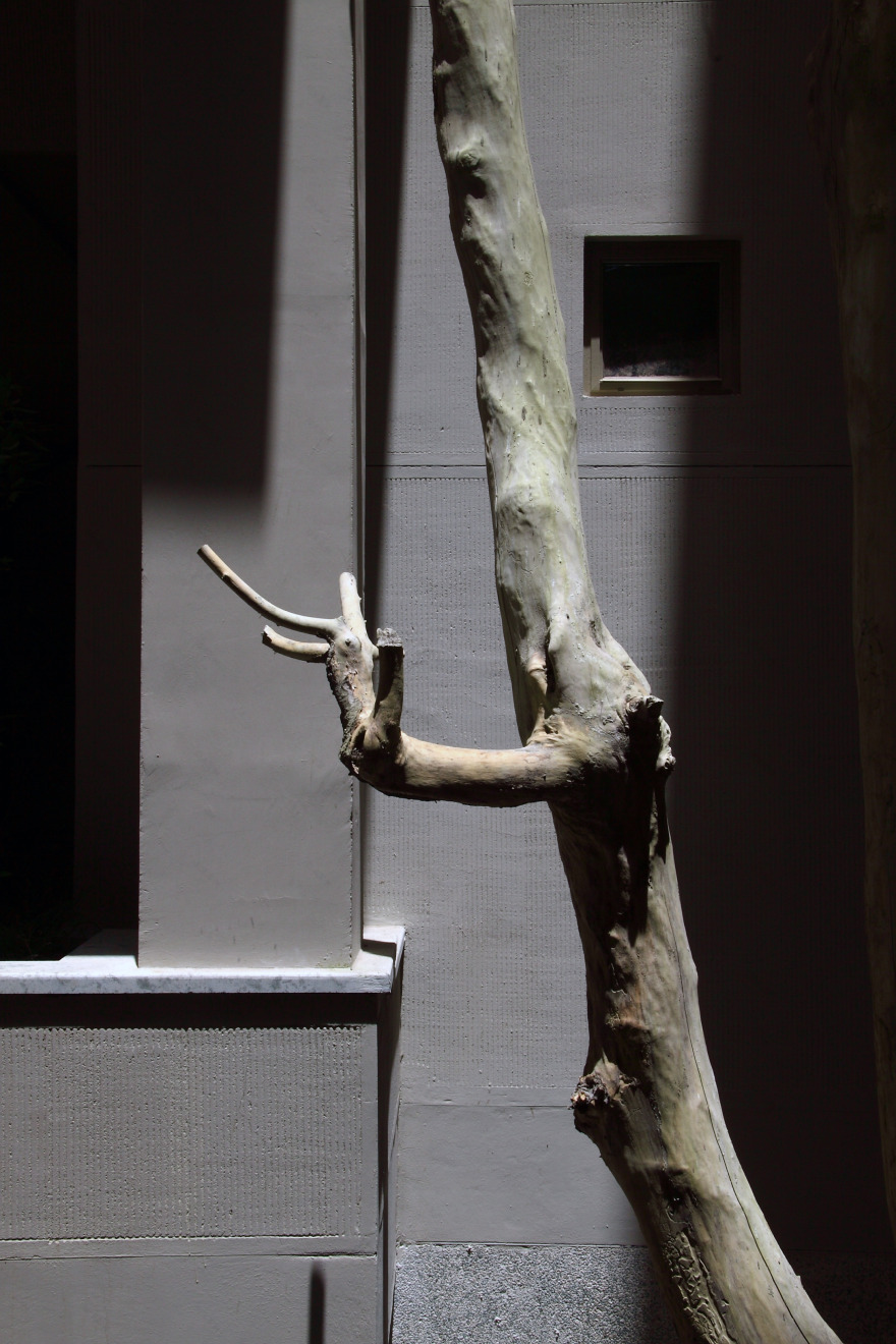 Deh·Vanak 住宅楼-0