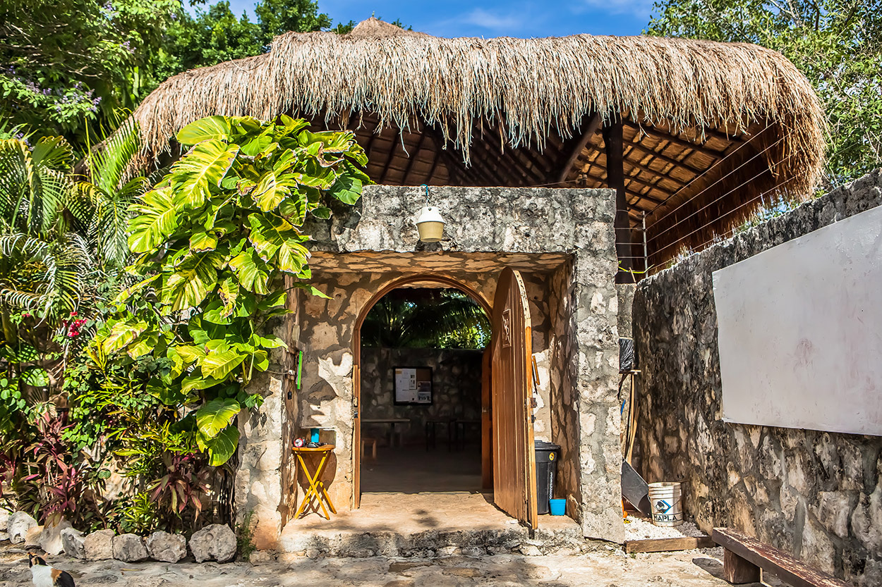 海洋之校 | Waldorf Initiative 学校设计-1