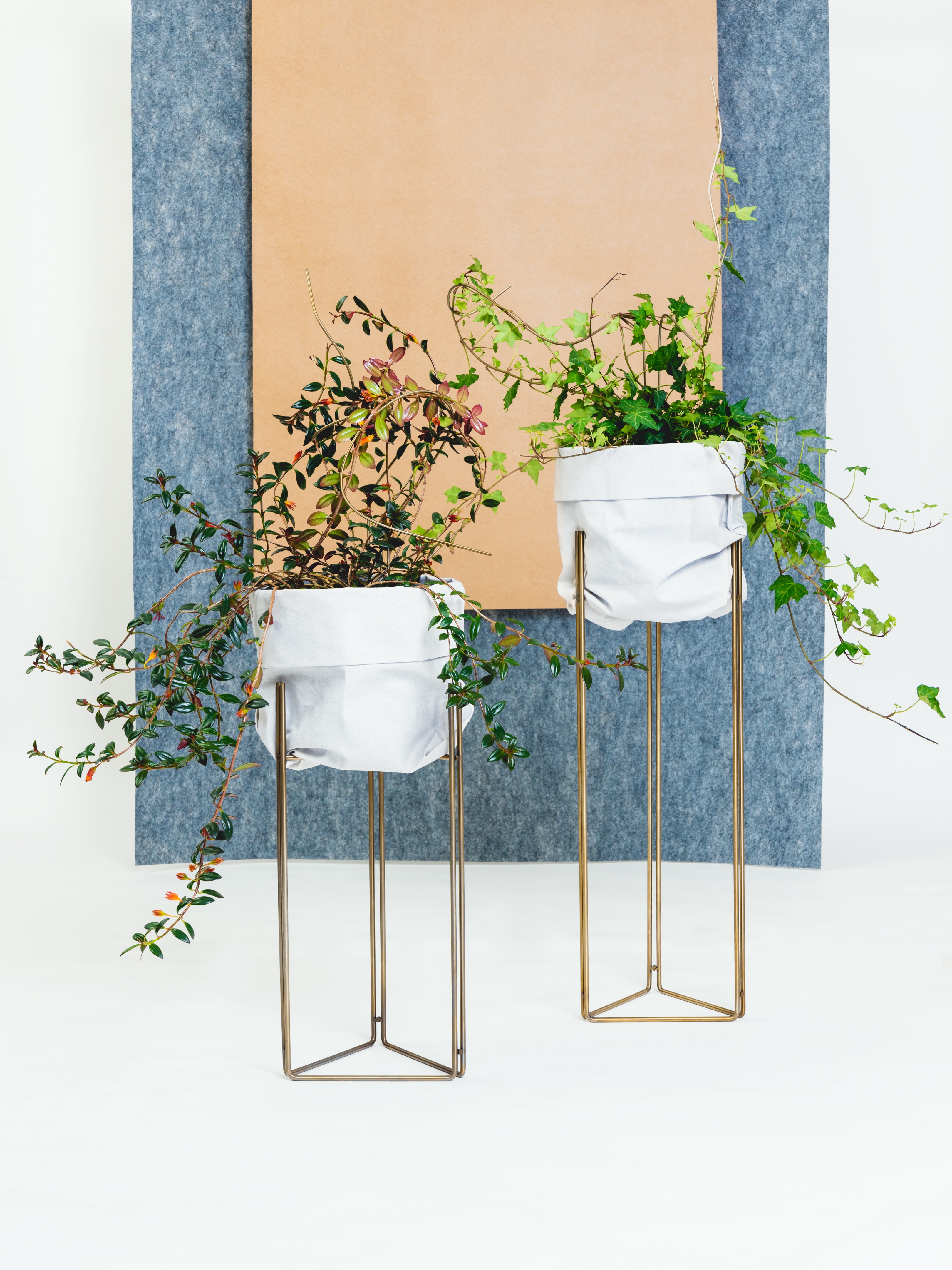 Linha 系列家具 | 灵活金属杆打造的多功能绿植与家居设计-15