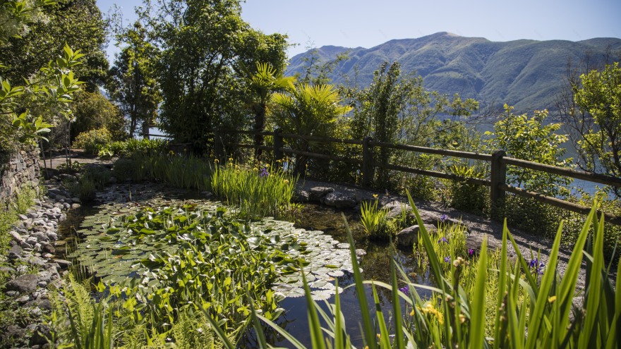 布里西诺公园酒店室内设计-17