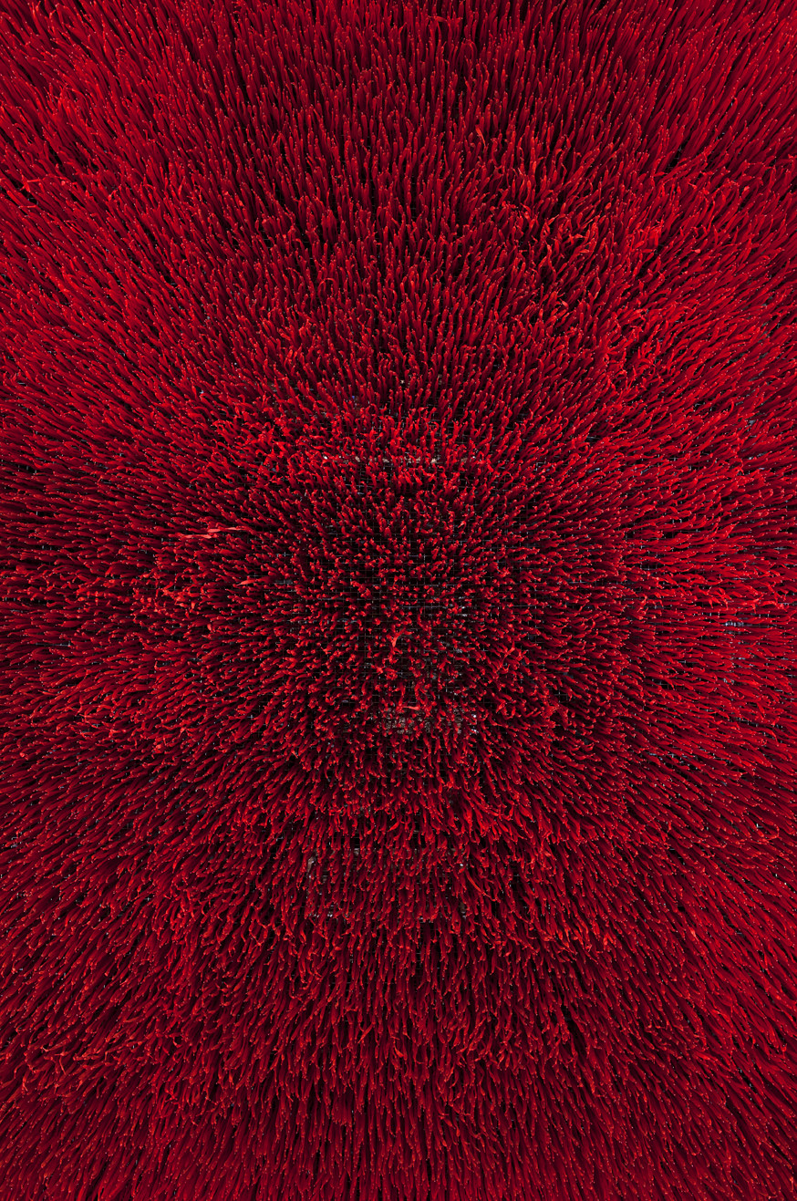 露营者在一起 巴西 圣保罗-10