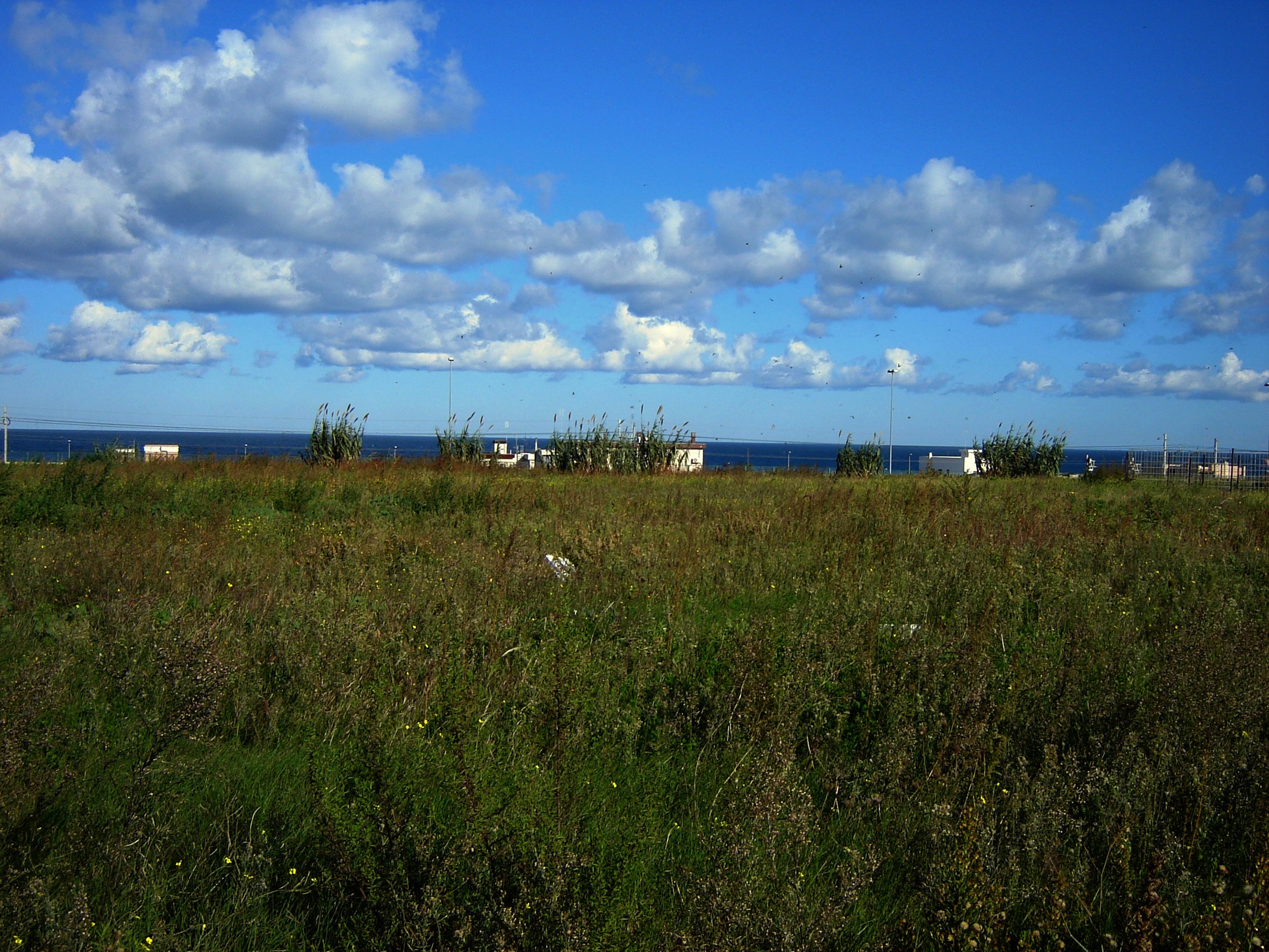 遗失的场所 | 巴里城市扩张中的历史印记与生态重建-19
